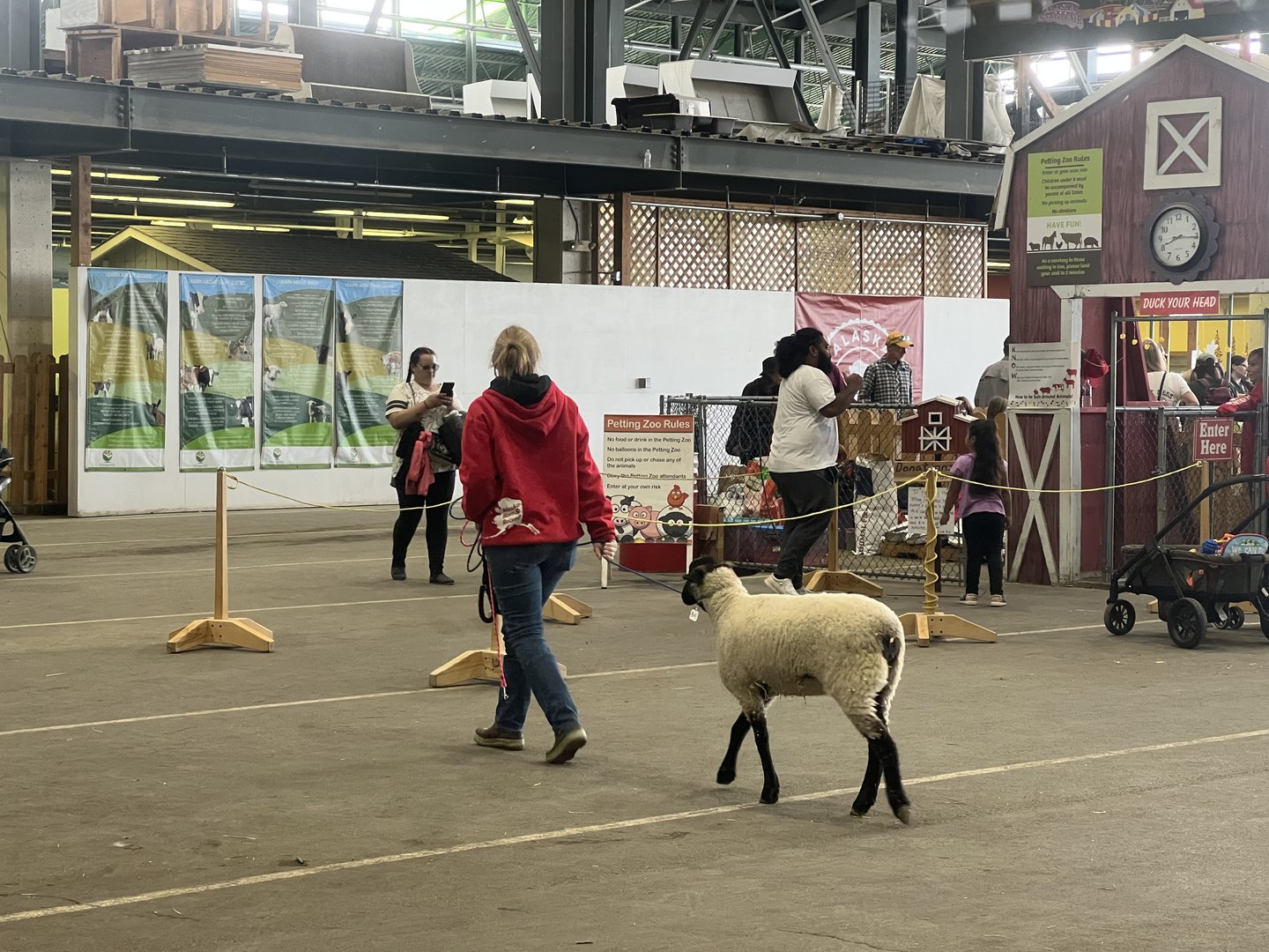 Off to the show at the Alaska State Fair