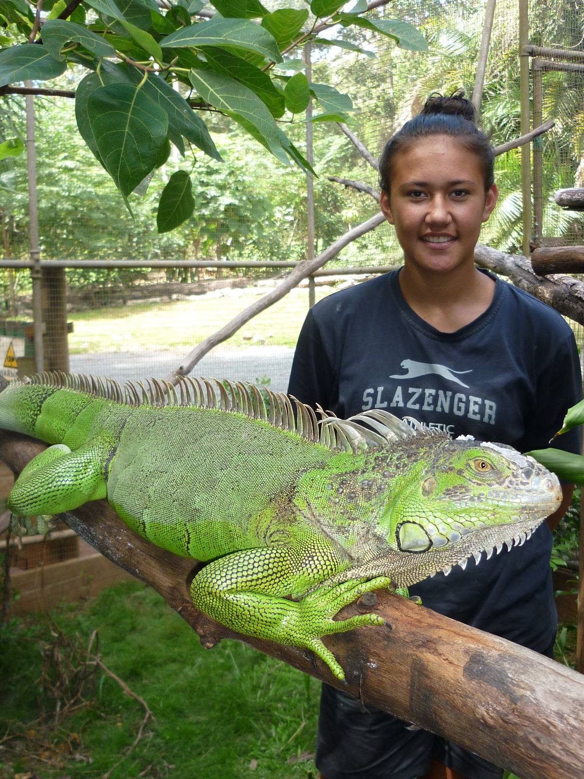 Official South American Opening January 1st 2013