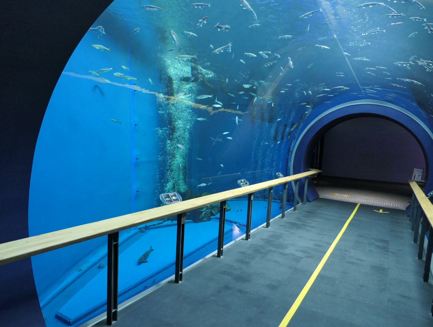 Offshore exhibit  - Lake Biwa Museum