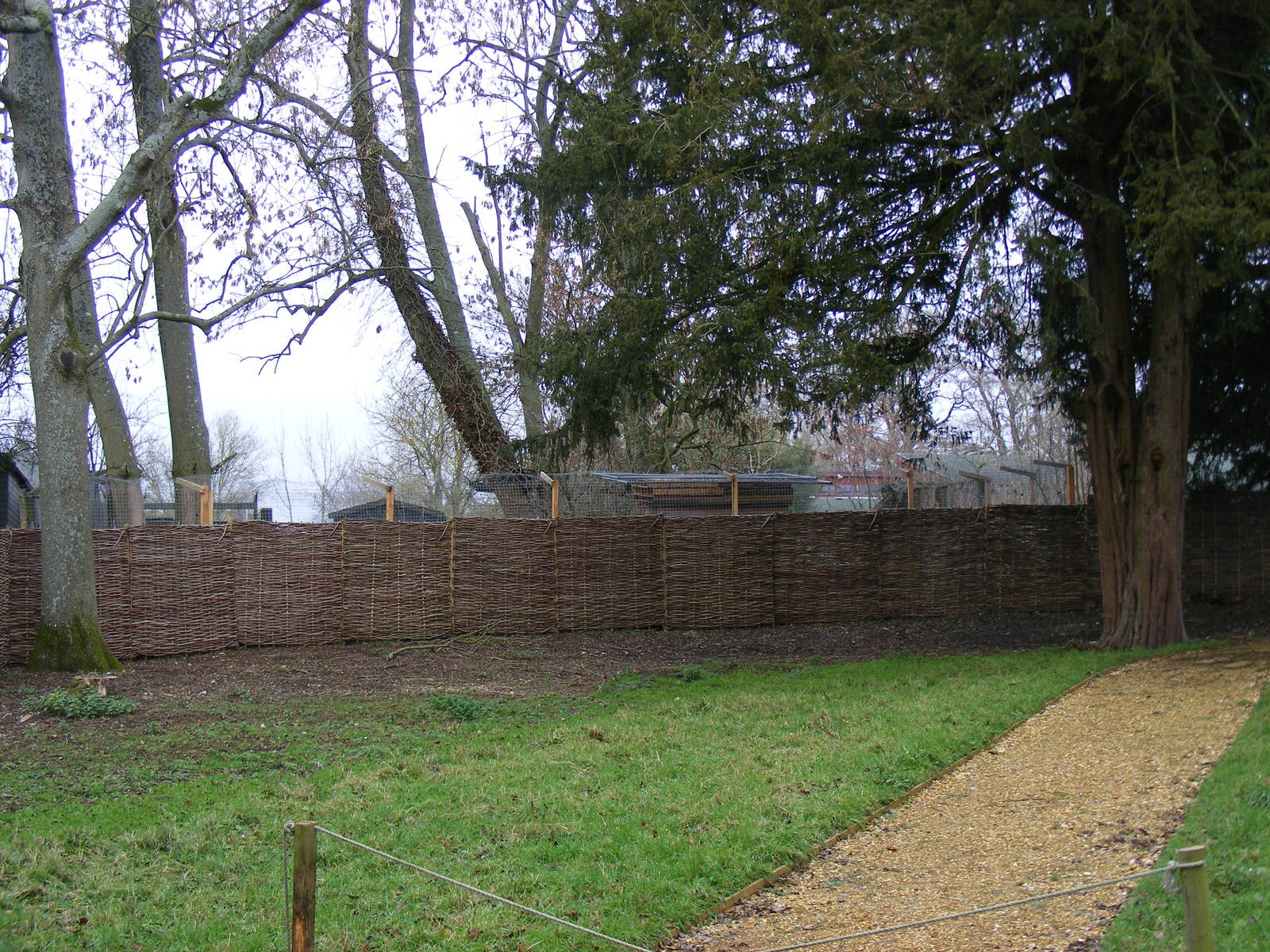 Offshow cheetah enclosure at Marwell Wildlife, 23 January 2011