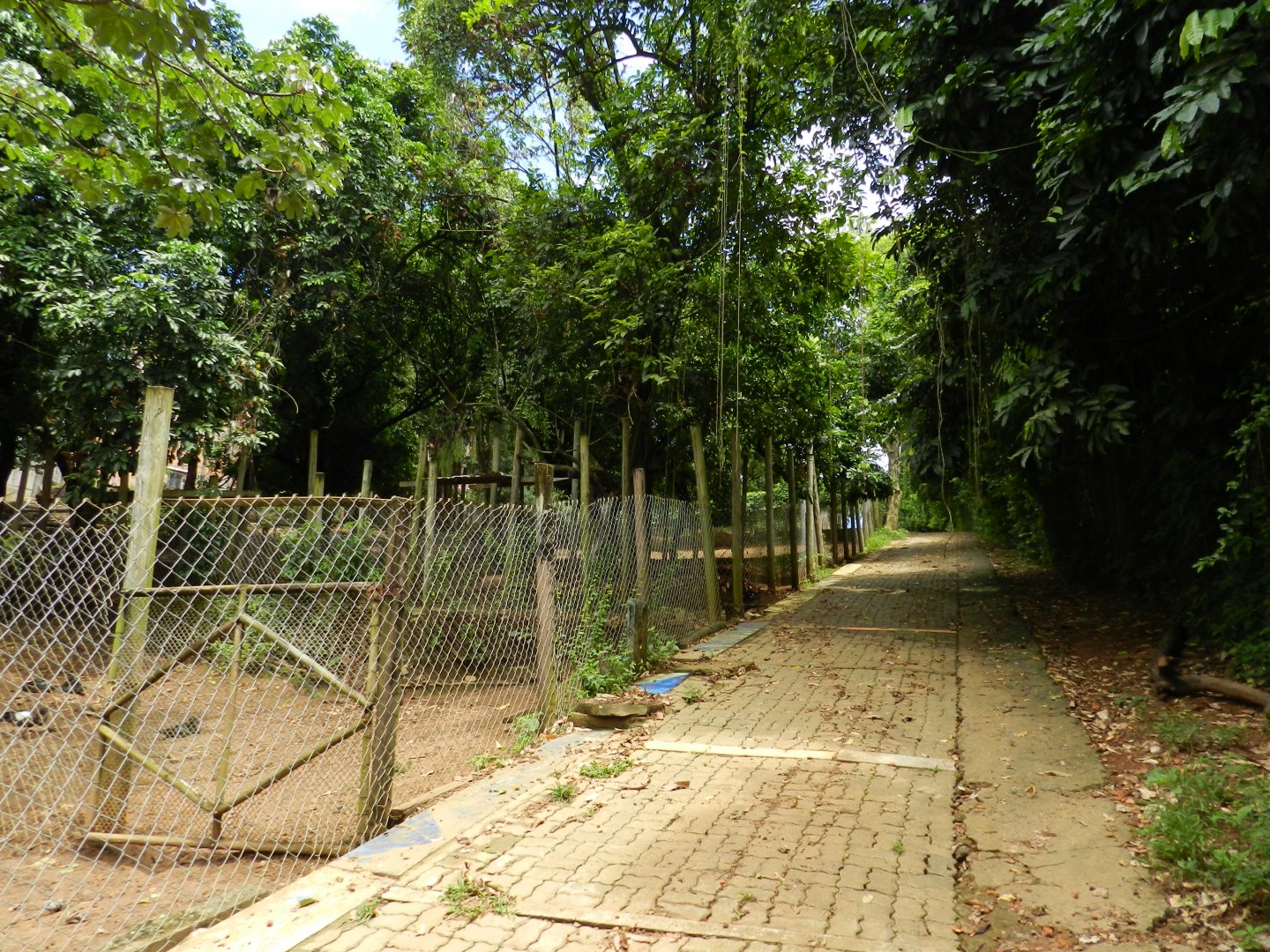 Offshow exhibits - Salvador zoo (PZGV)