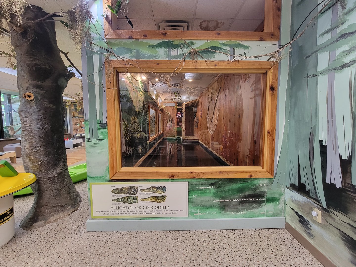 Oglebay Good Zoo - American alligator