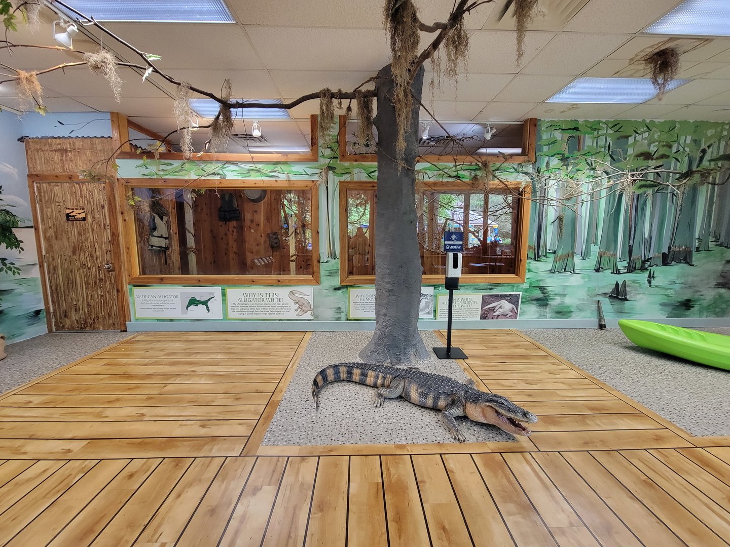 Oglebay Good Zoo - American alligator