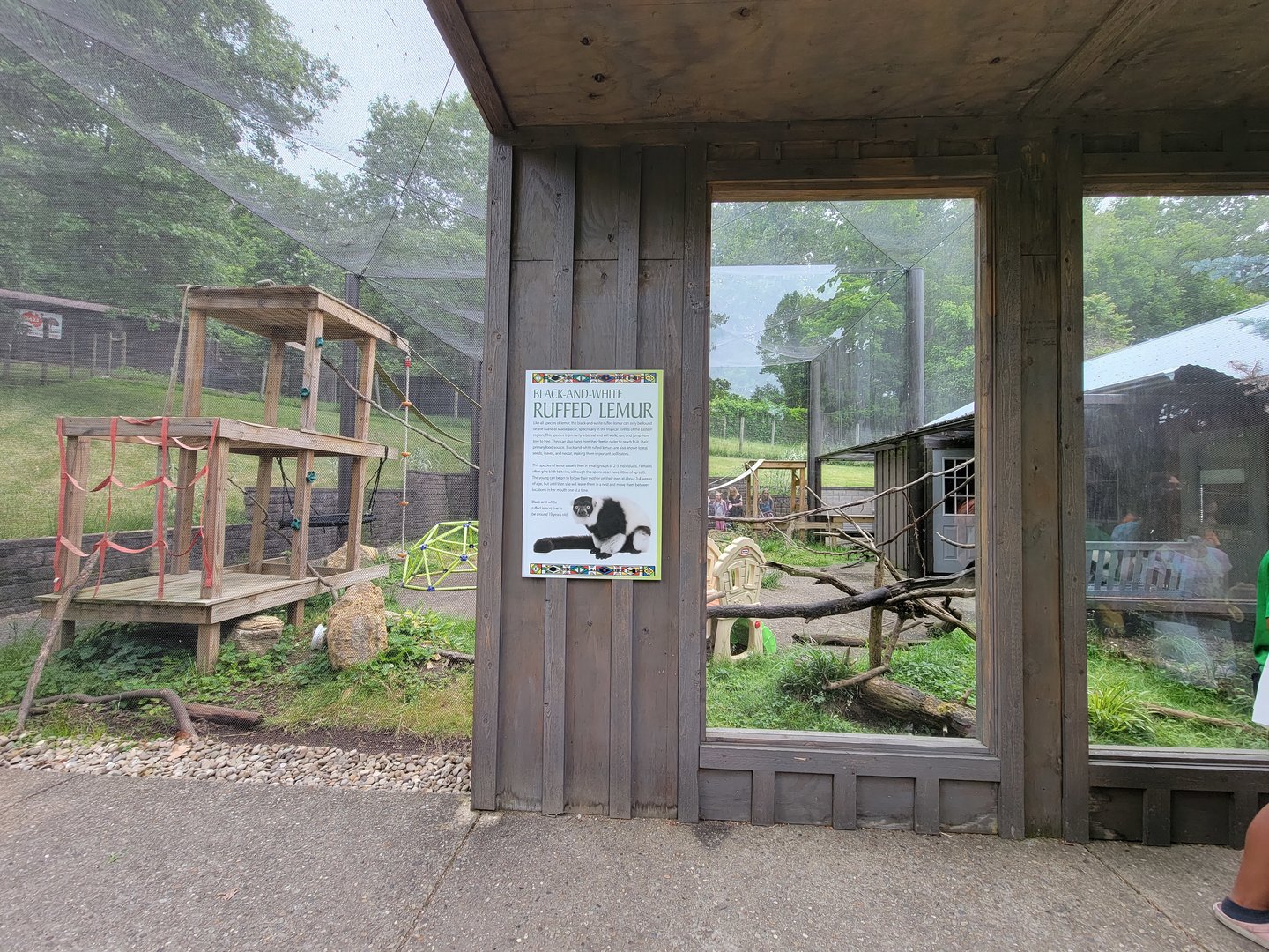 Oglebay Good Zoo - Black and white ruffed lemurs, formerly lorikeet feeding