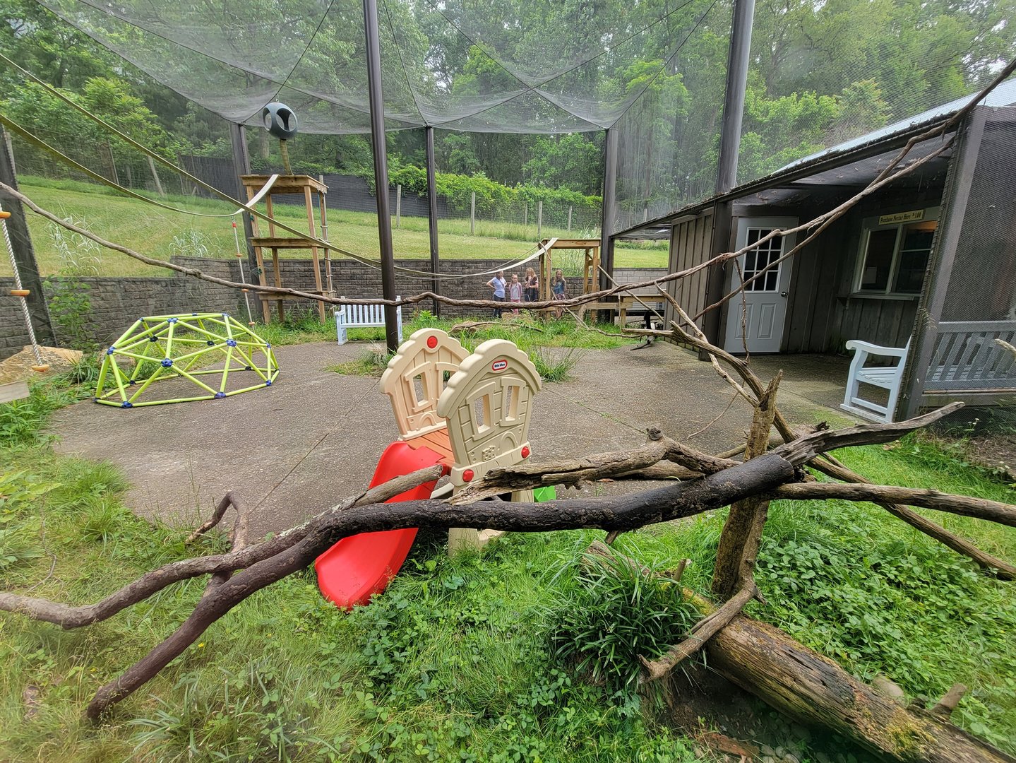 Oglebay Good Zoo - Black and white ruffed lemurs, formerly lorikeet feeding