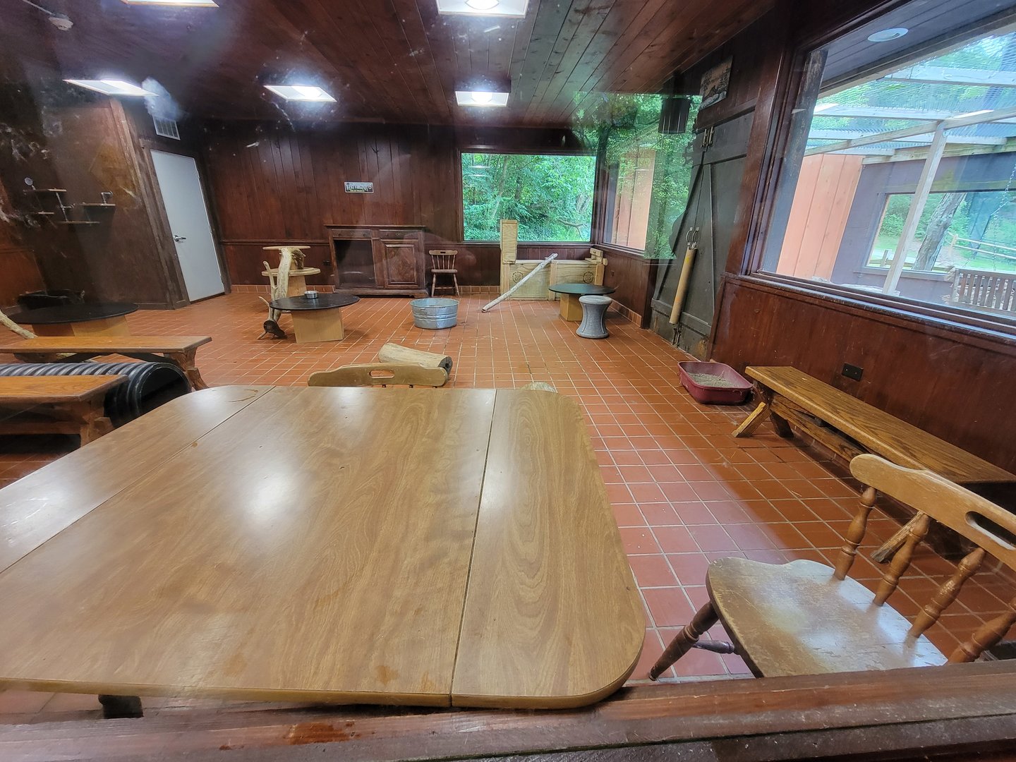 Oglebay Good Zoo - Bobcat indoor area, West Virginia Conservation Center