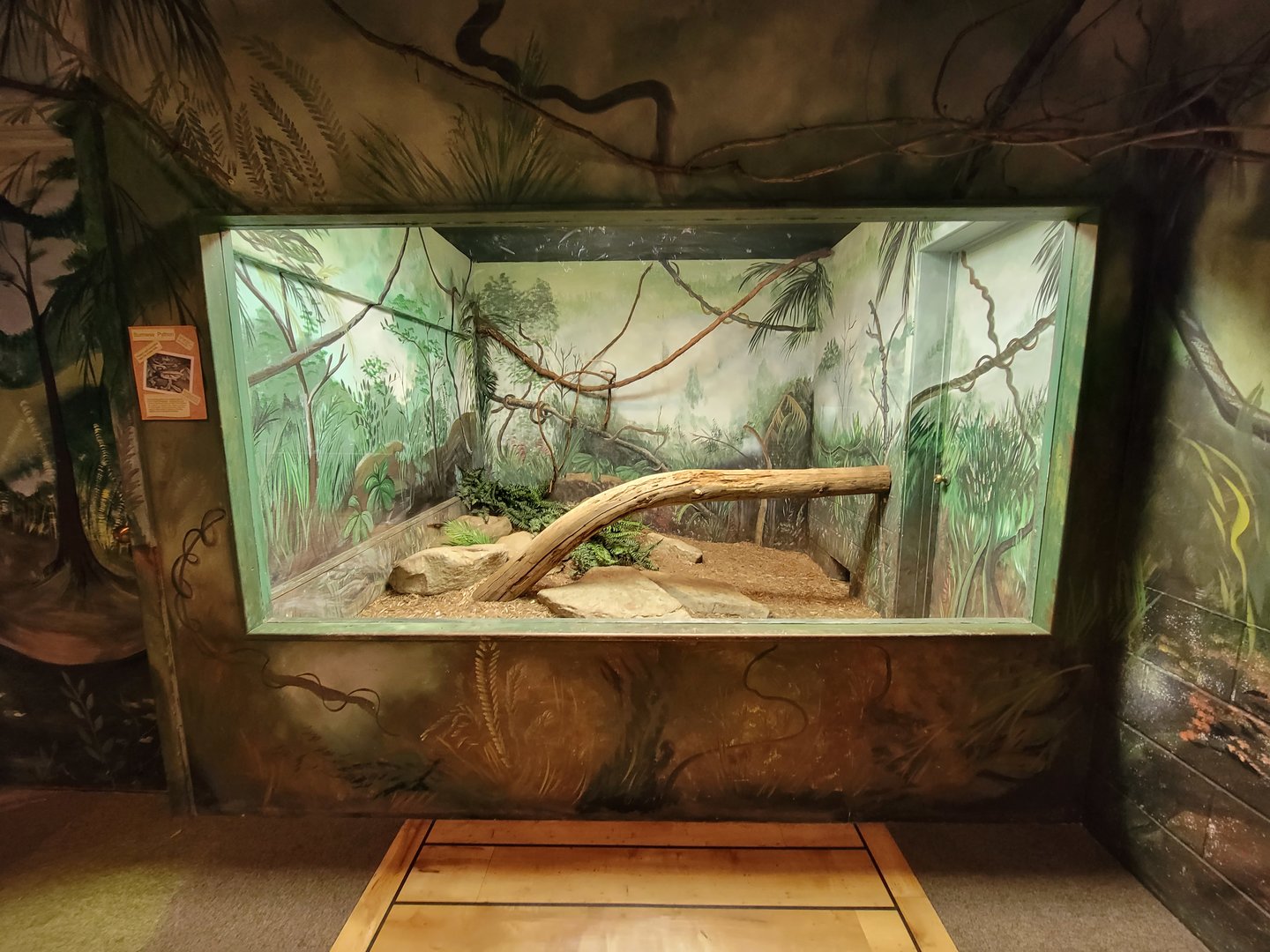 Oglebay Good Zoo - Burmese python