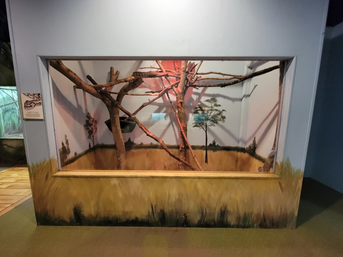 Oglebay Good Zoo - Carpet python