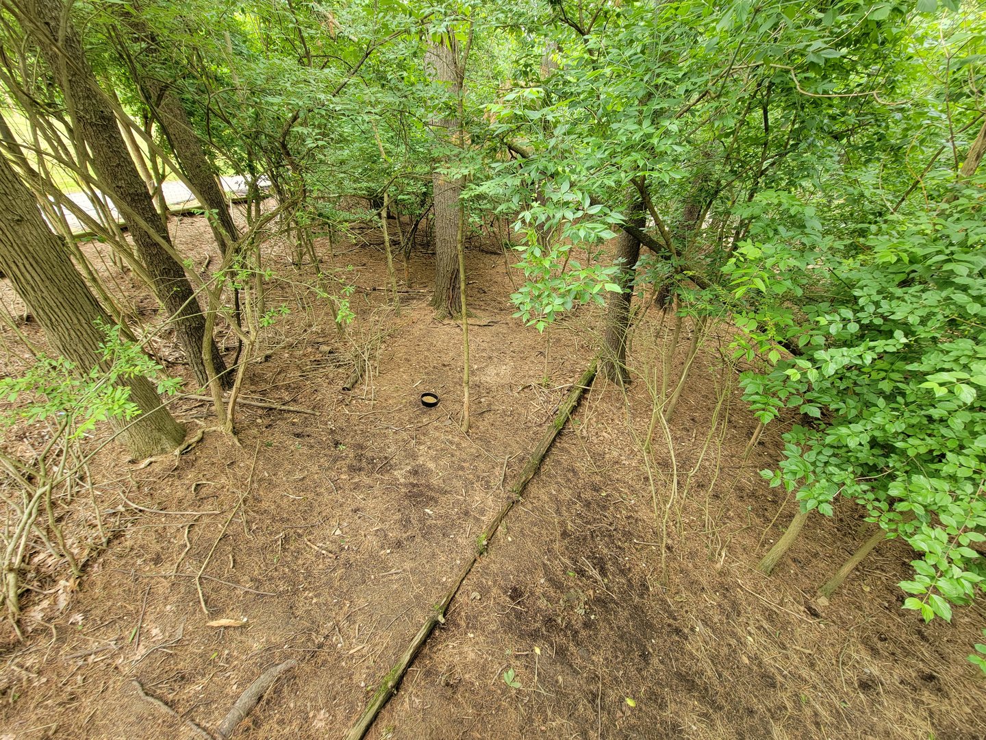 Oglebay Good Zoo - Central Chinese Goral yard (and the male's uneaten food)