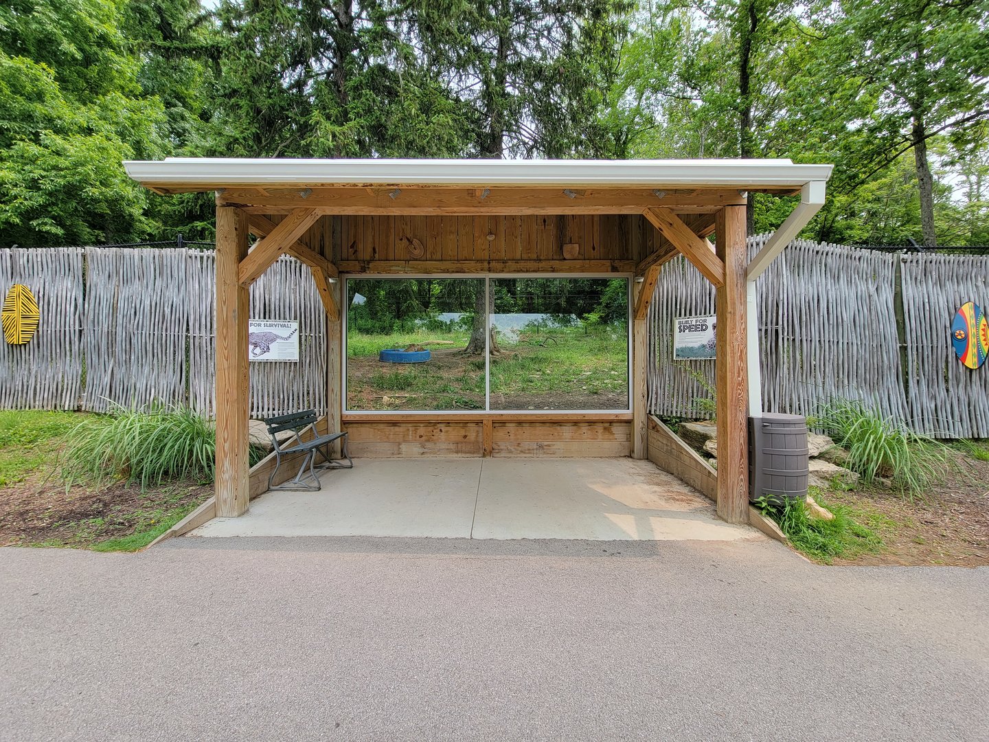 Oglebay Good Zoo - Cheetahs