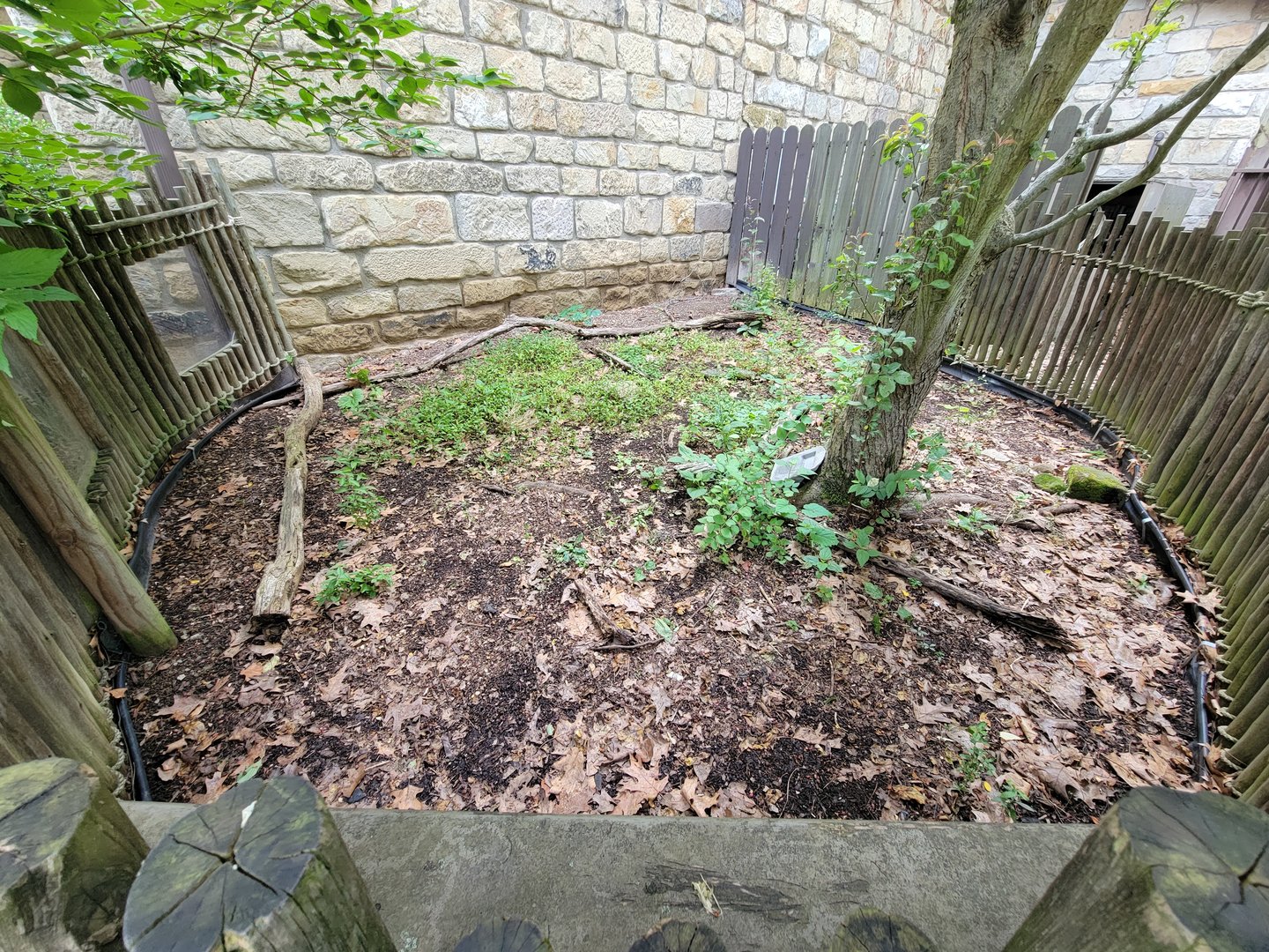 Oglebay Good Zoo - Eastern box turtle (unseen)