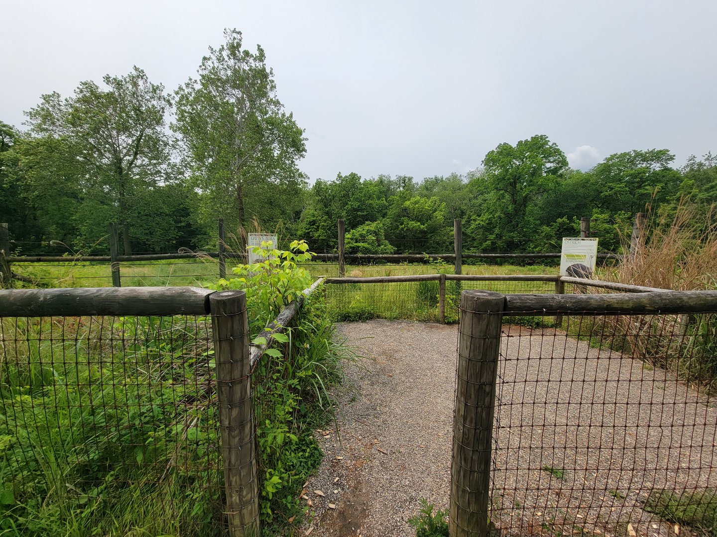 Oglebay Good Zoo - Grevy's zebra and ostrich