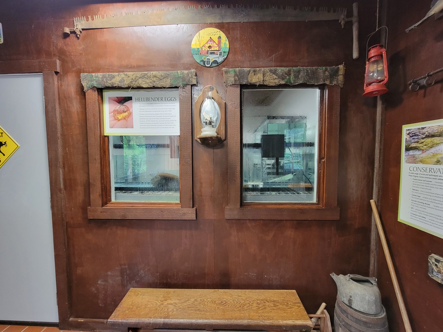 Oglebay Good Zoo - Hellbender breeding, West Virginia Conservation Center