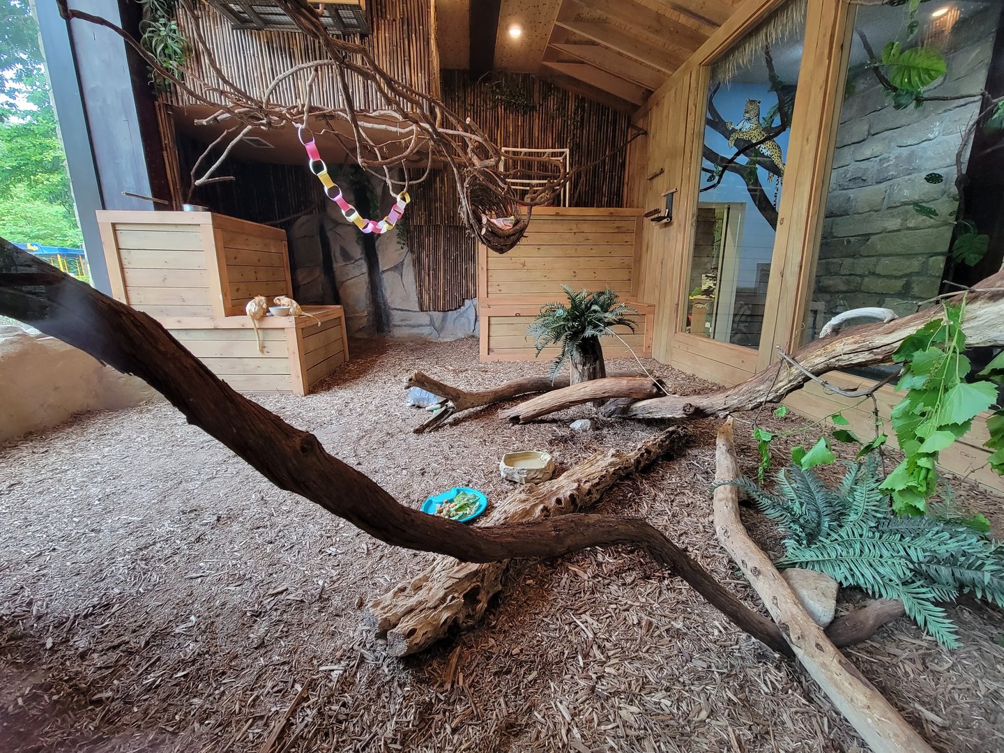 Oglebay Good Zoo - Linneaus's two-toed sloth, golden lion tamarin, southern three-banded armadillo, red-footed tortoise