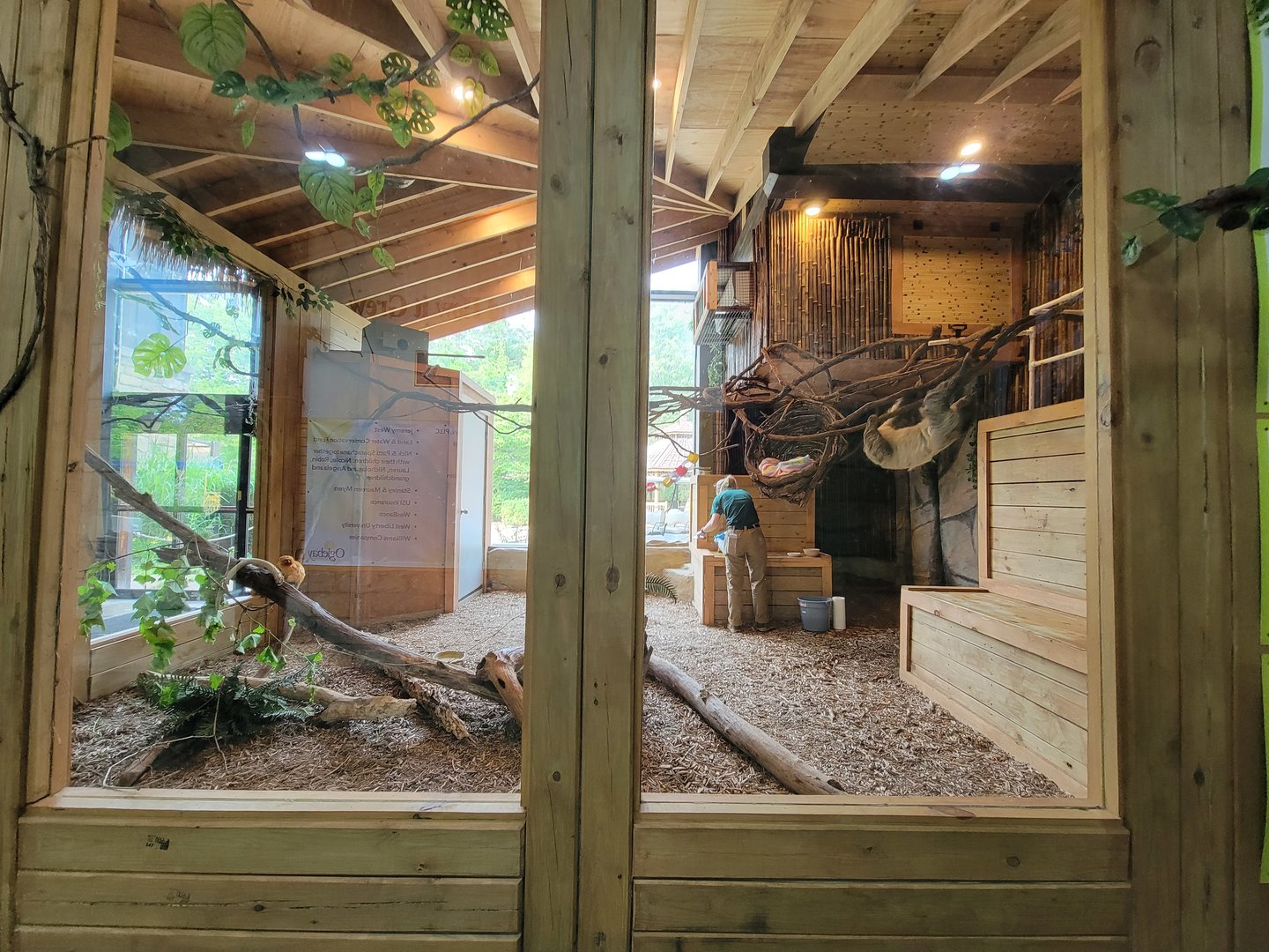 Oglebay Good Zoo - Linneaus's two-toed sloth, golden lion tamarin, southern three-banded armadillo, red-footed tortoise