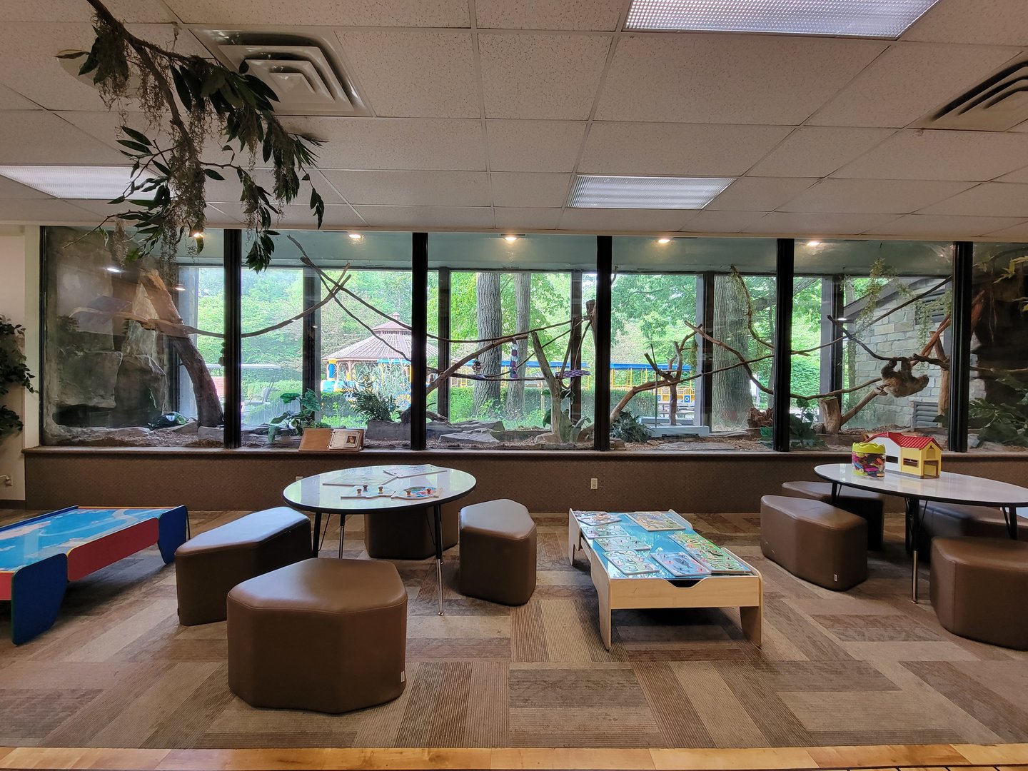 Oglebay Good Zoo - Linneaus's two-toed sloth, southern three-banded armadillo, red-footed tortoise, scarlet macaw