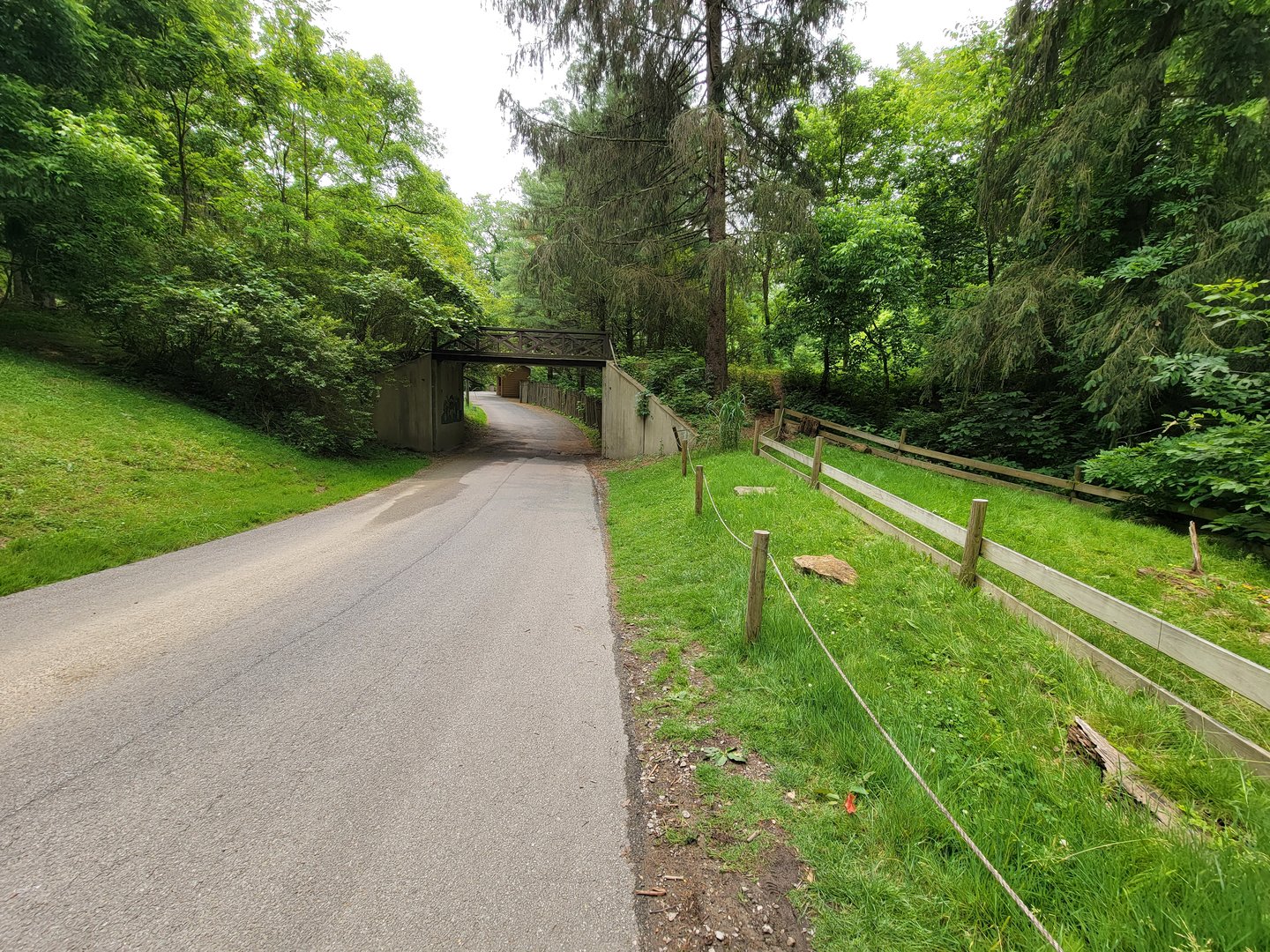 Oglebay Good Zoo - Main path, Sulcata tortoise on right