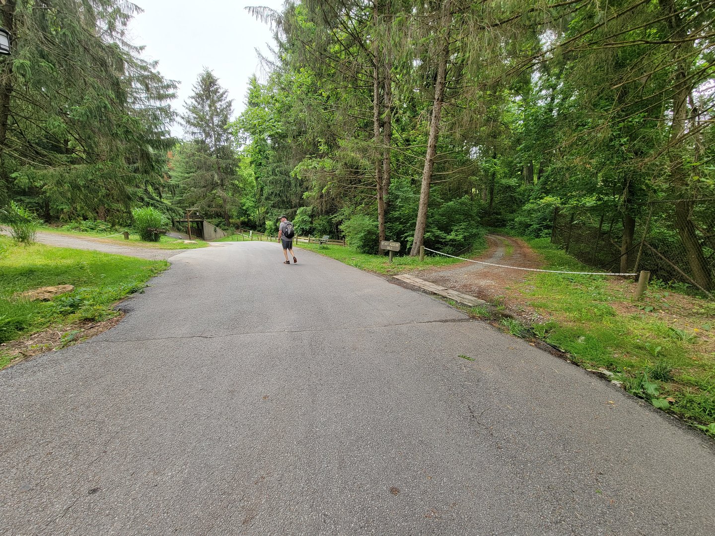 Oglebay Good Zoo - Main path