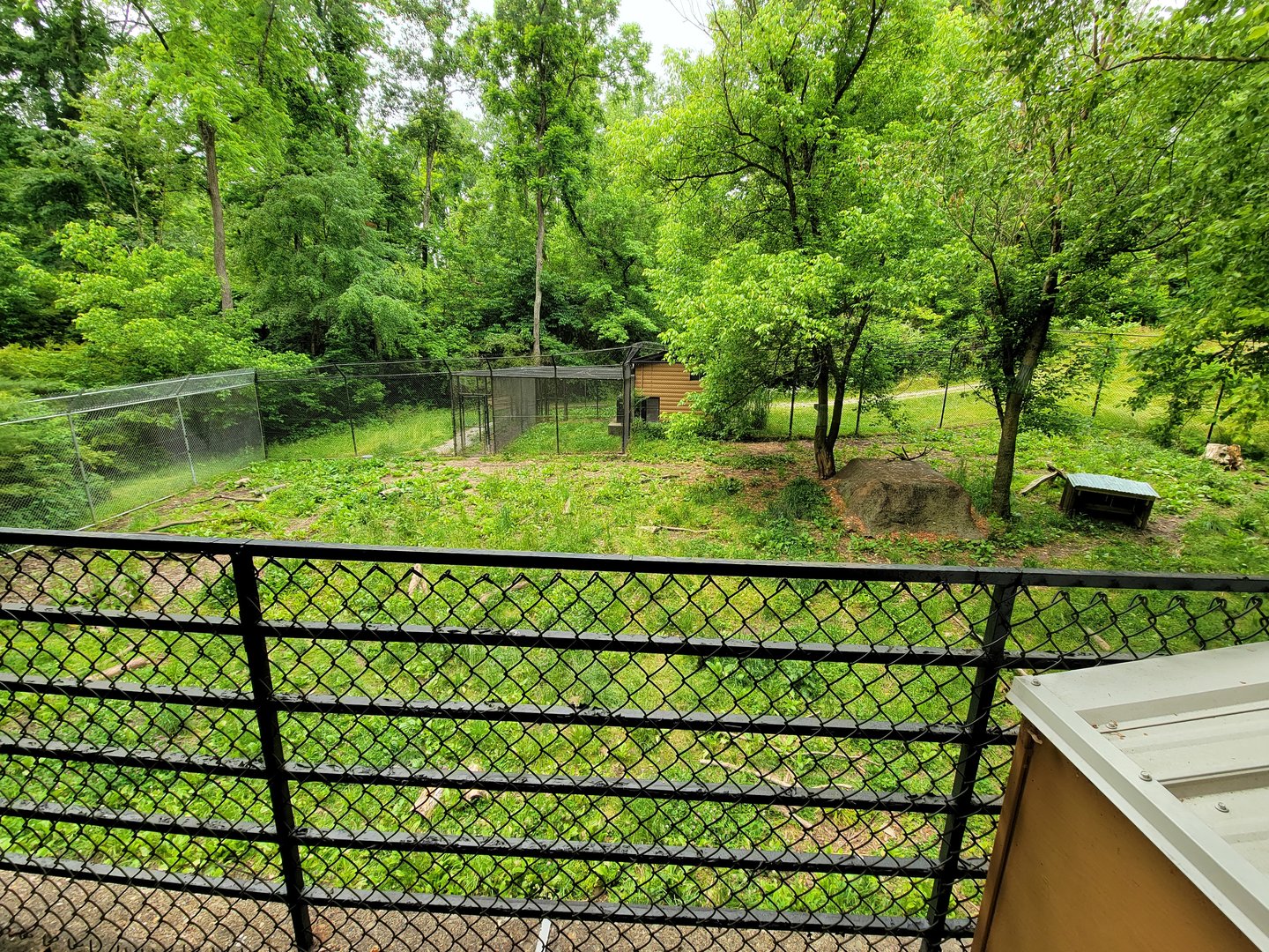 Oglebay Good Zoo - Maned wolf yard from upper/public viewing