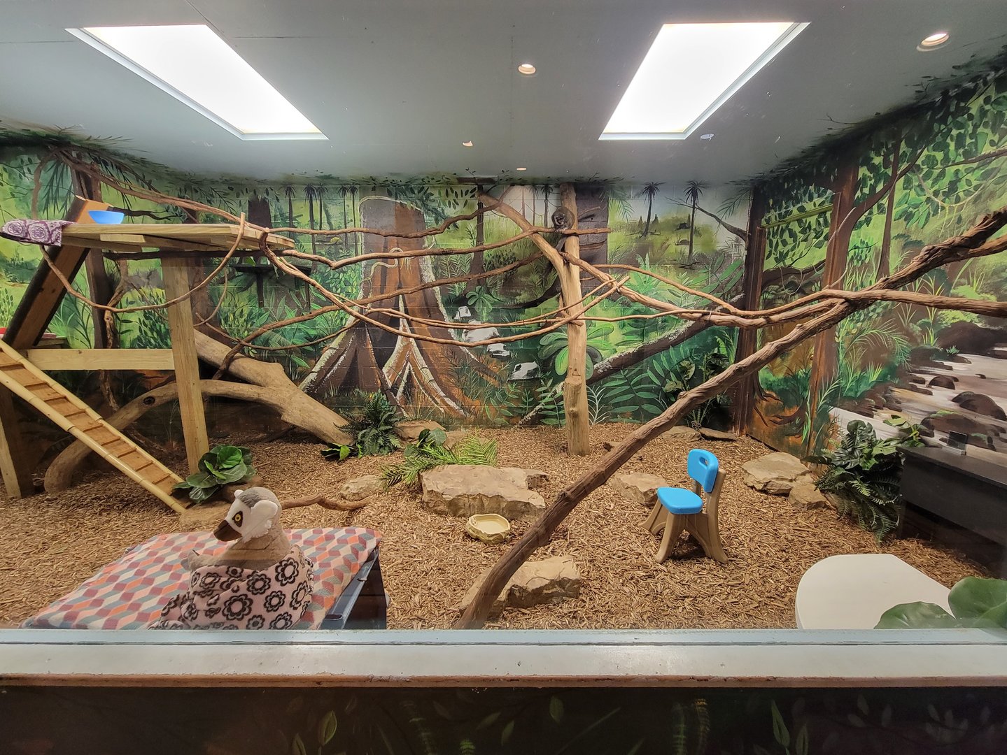 Oglebay Good Zoo - Mongoose lemur, radiated tortoise