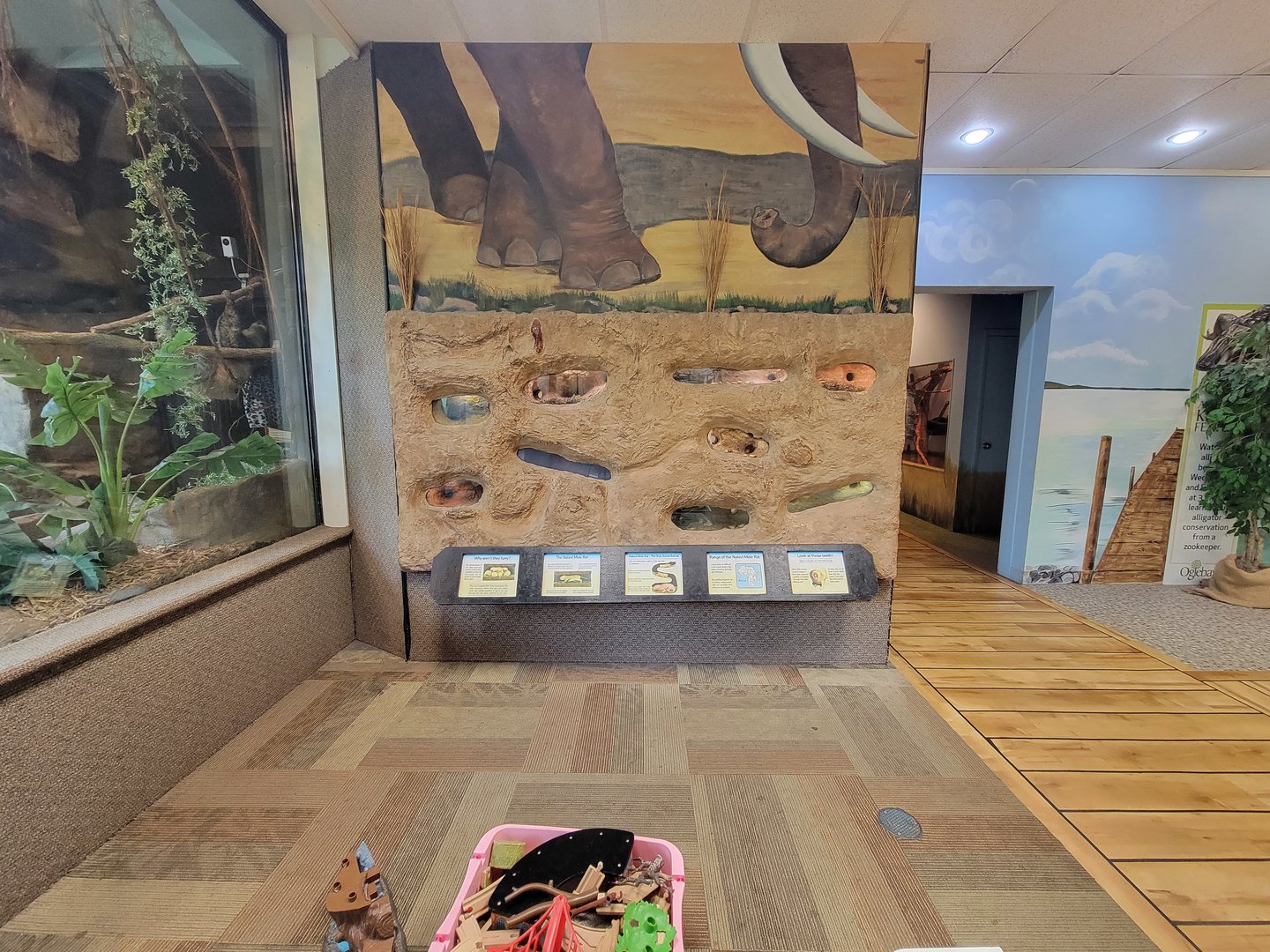 Oglebay Good Zoo - Naked mole-rats