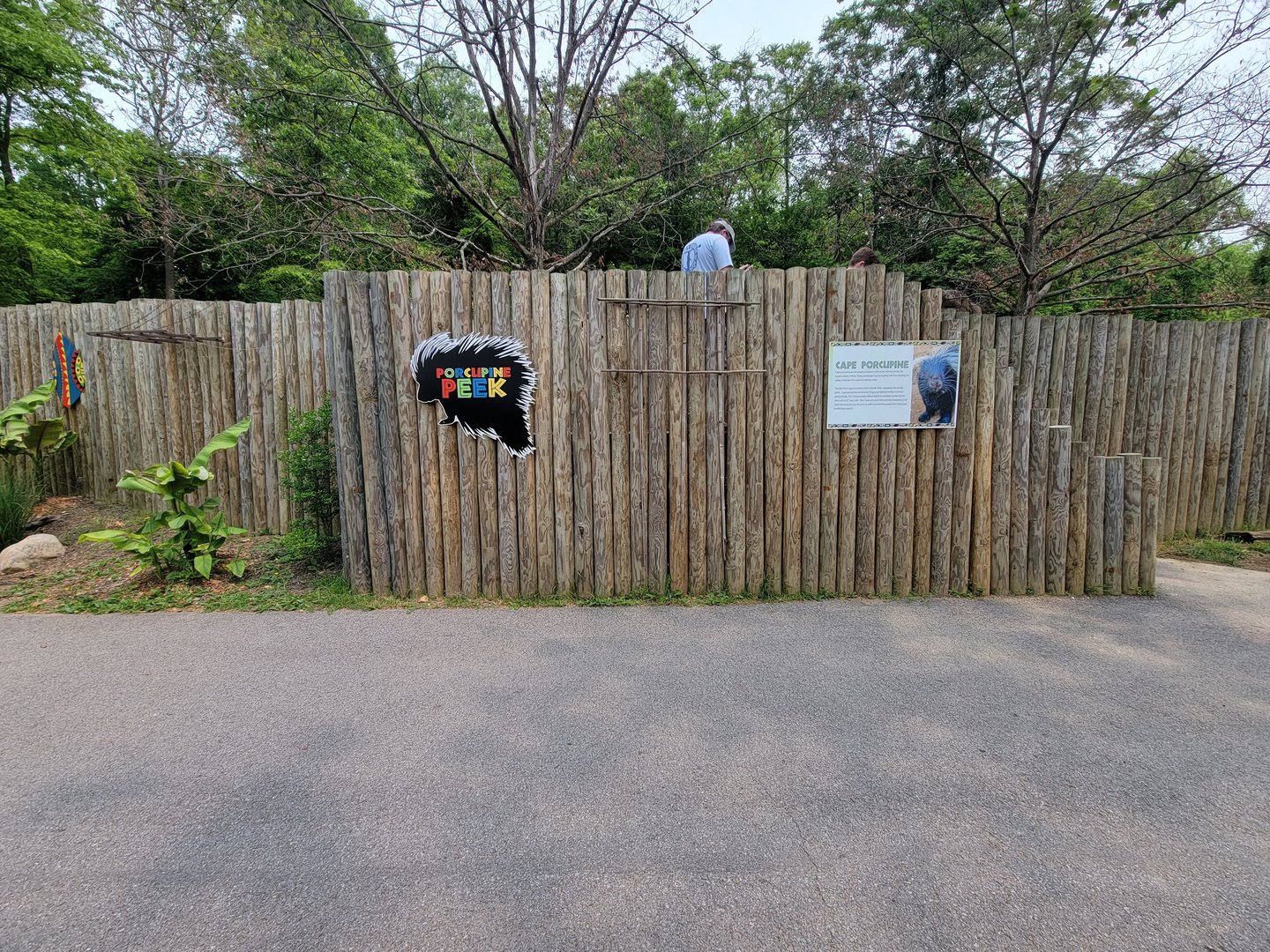 Oglebay Good Zoo - Raised platform for porcupine and red river hog viewing
