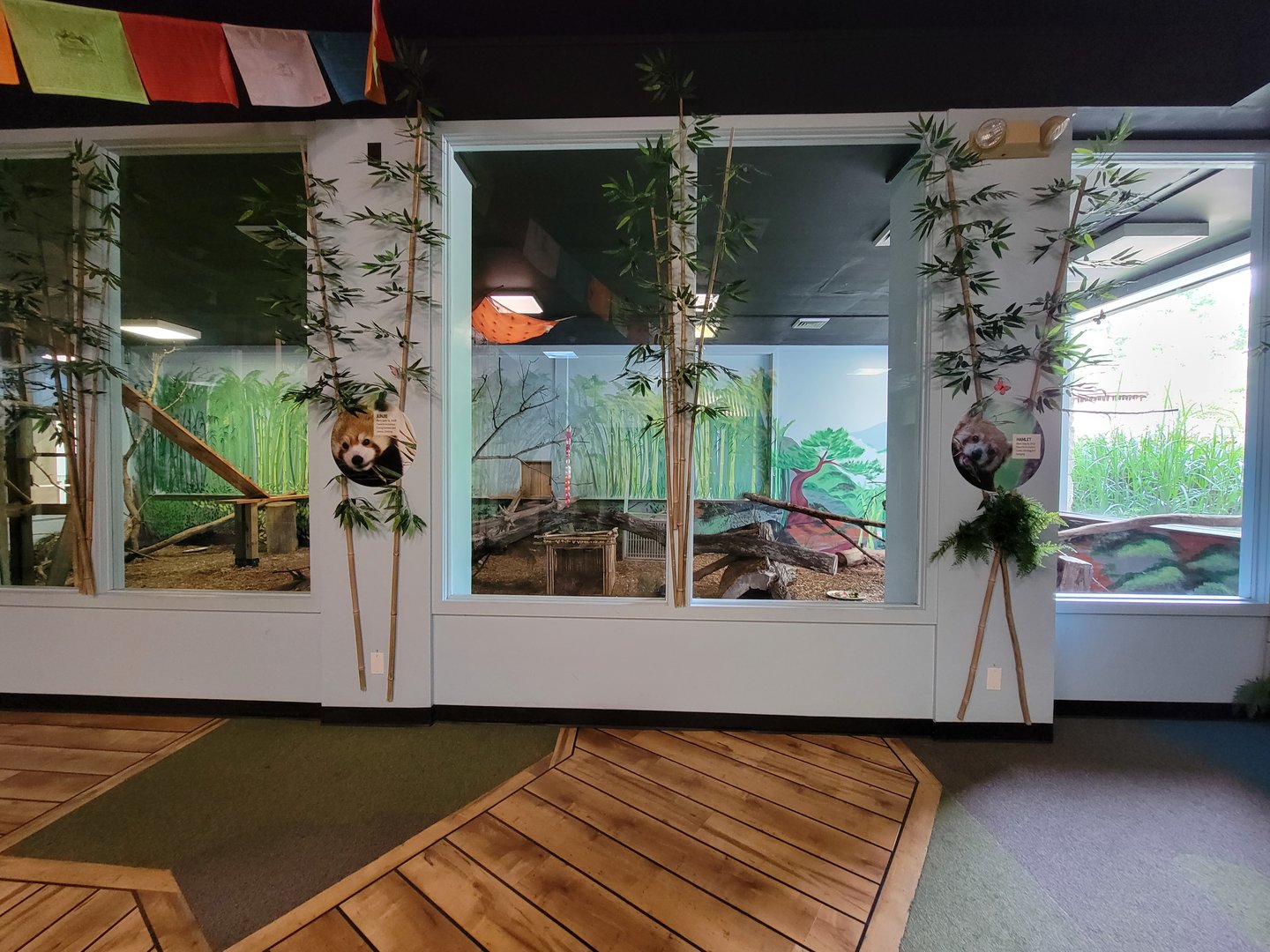 Oglebay Good Zoo - Red panda and Burmese mountain tortoise indoor rooms