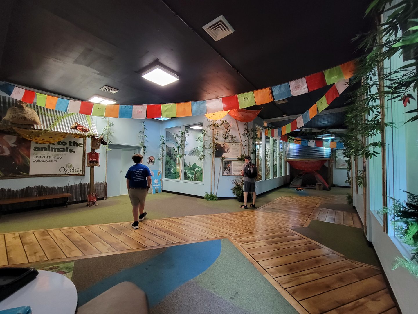 Oglebay Good Zoo - Red panda and Burmese mountain tortoise indoor rooms