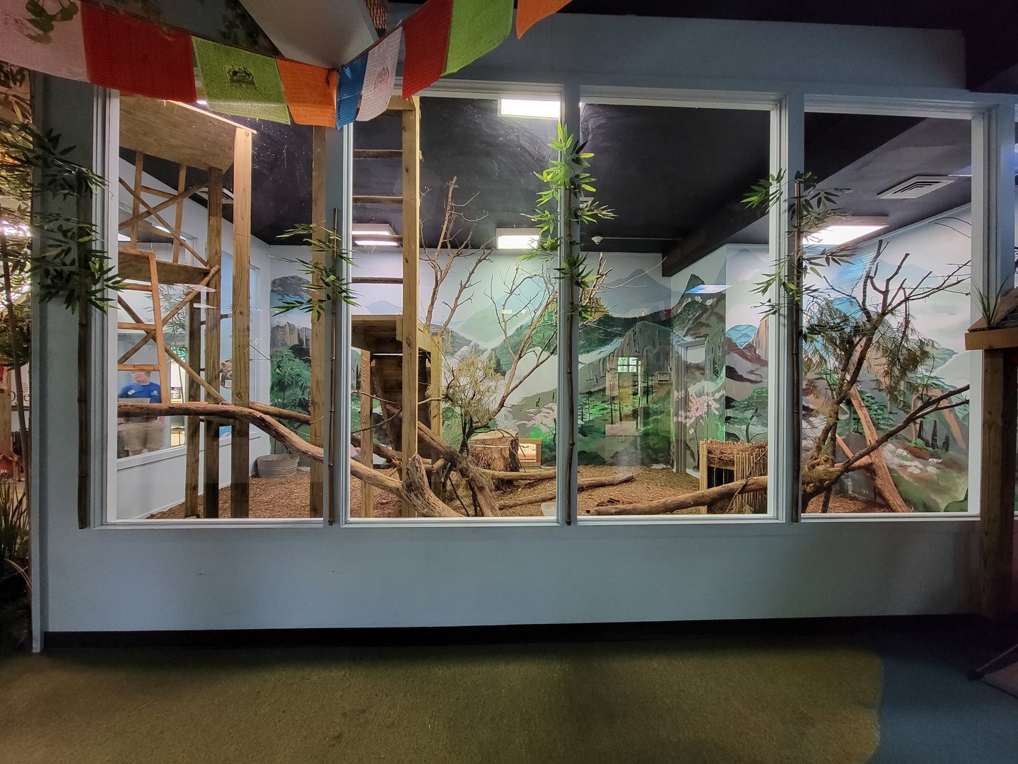 Oglebay Good Zoo - Red panda and Burmese mountain tortoise indoor rooms