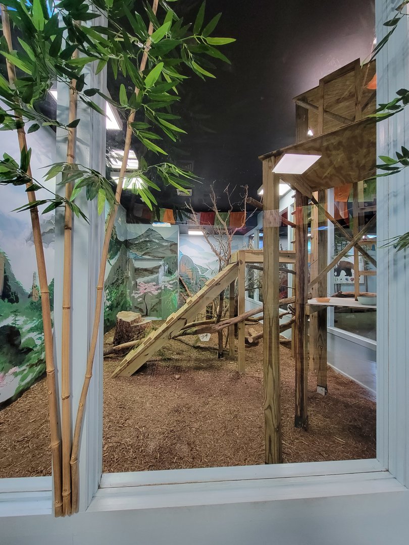 Oglebay Good Zoo - Red panda and Burmese mountain tortoise indoor rooms