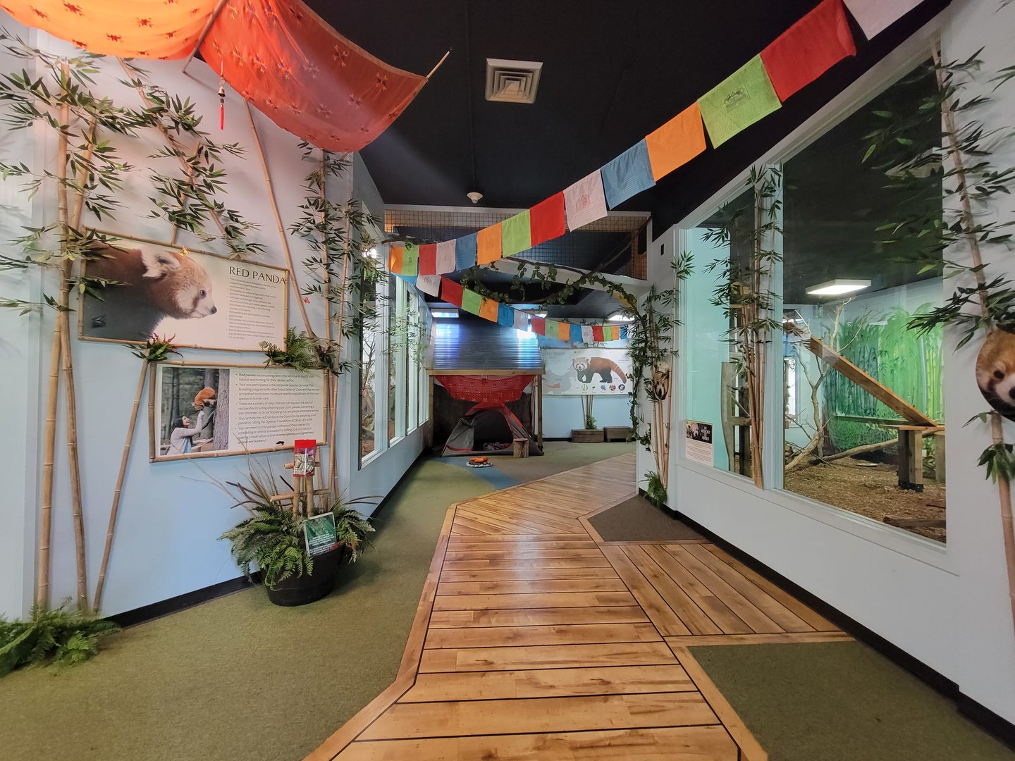 Oglebay Good Zoo - Red panda and Burmese mountain tortoise indoor rooms