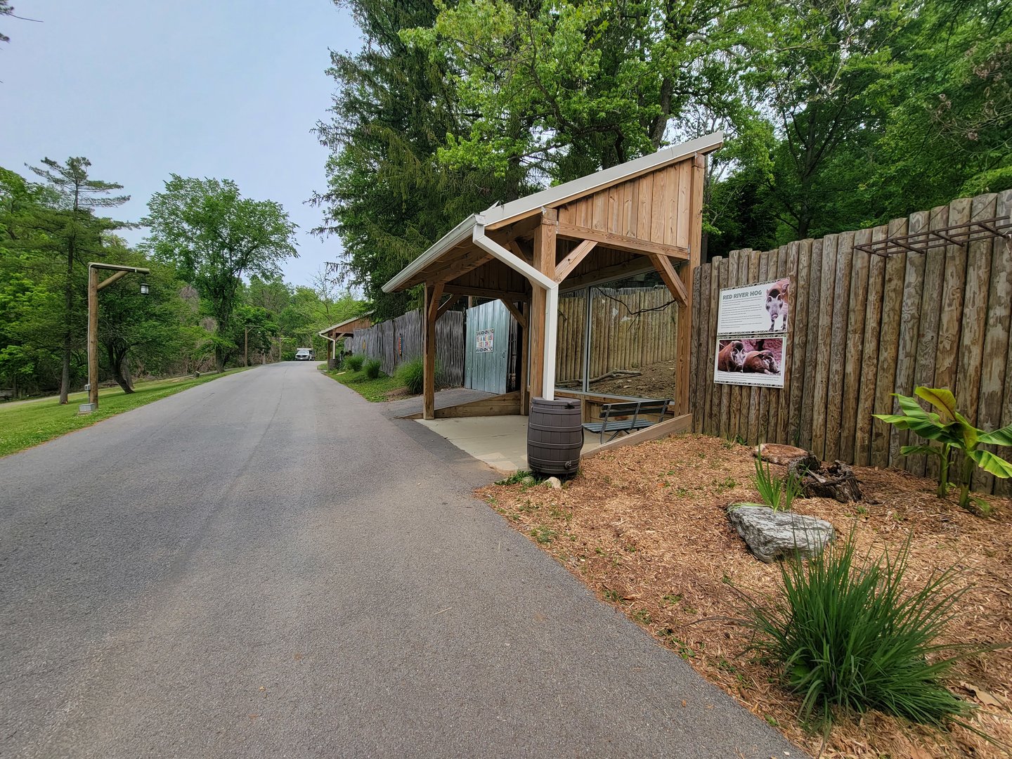 Oglebay Good Zoo - Red river hog viewing window