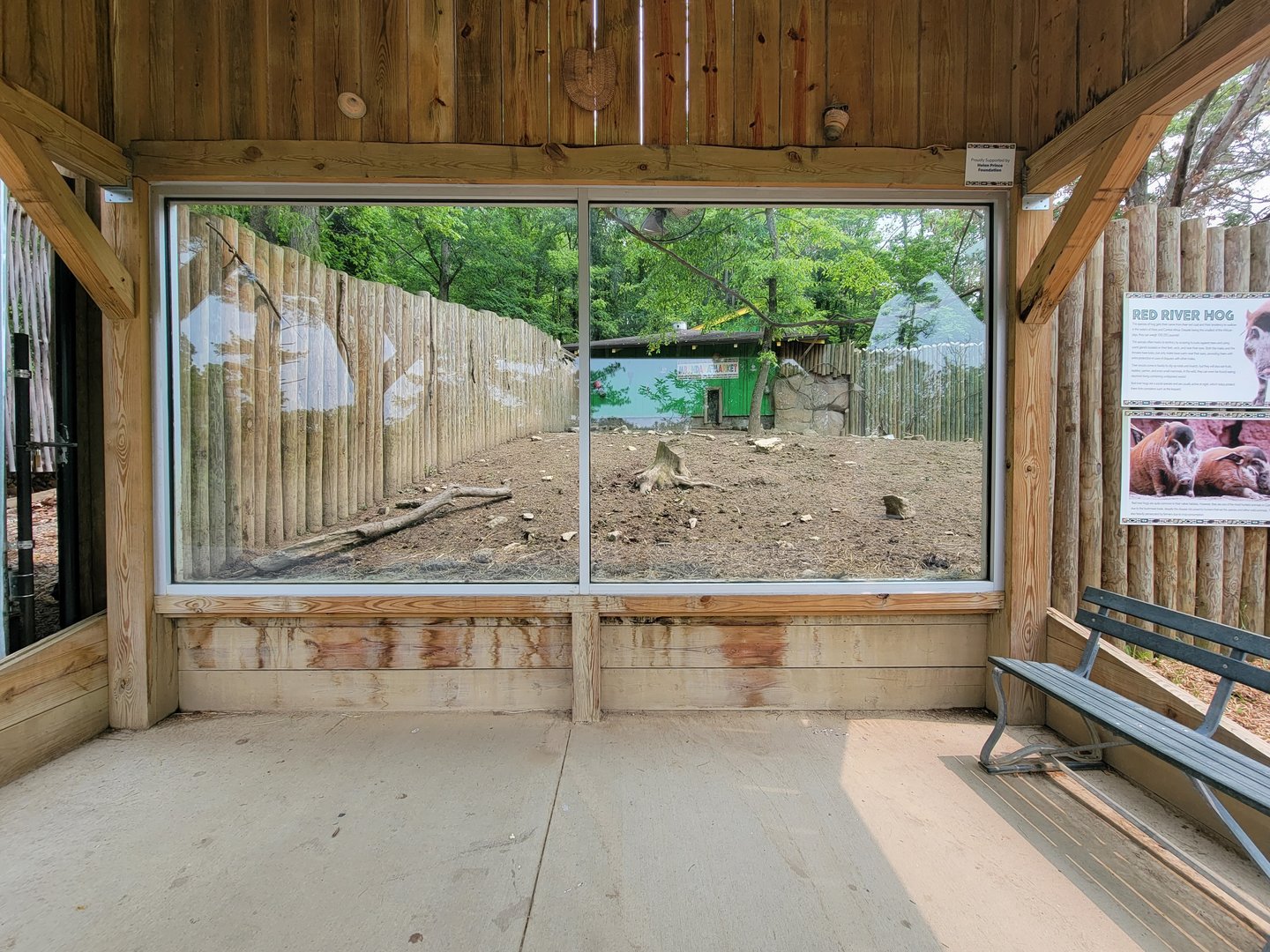Oglebay Good Zoo - Red river hog viewing window