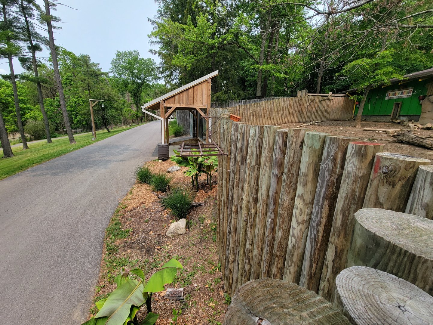 Oglebay Good Zoo - Red river hogs viewing window