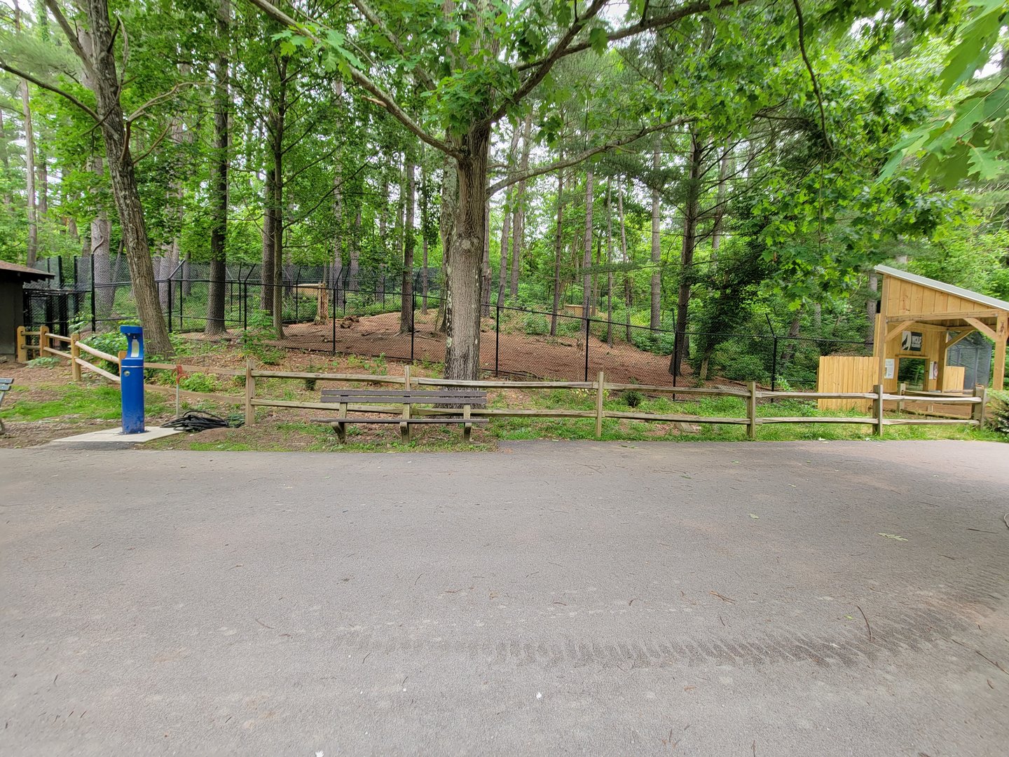 Oglebay Good Zoo - Red wolves, yard 2