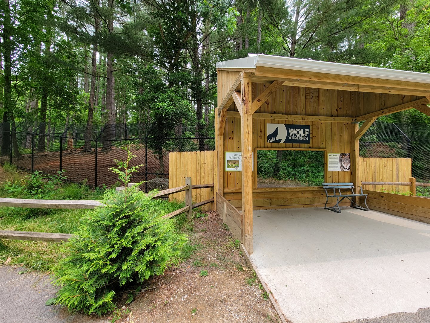 Oglebay Good Zoo - Red wolves, yard 2