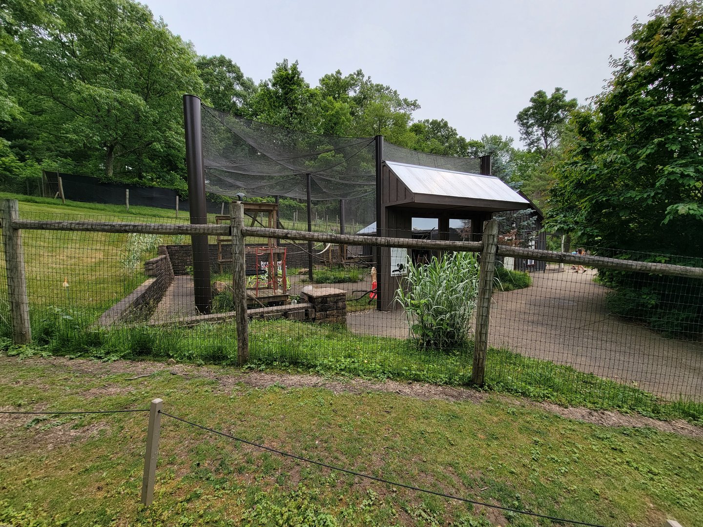 Oglebay Good Zoo - Ruffed lemurs from walkabout