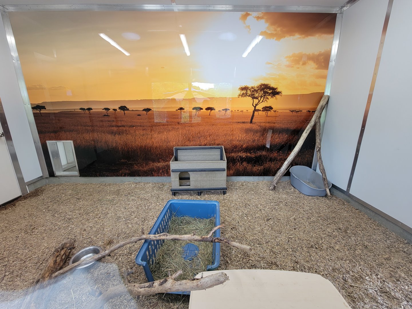 Oglebay Good Zoo - Serval indoor area