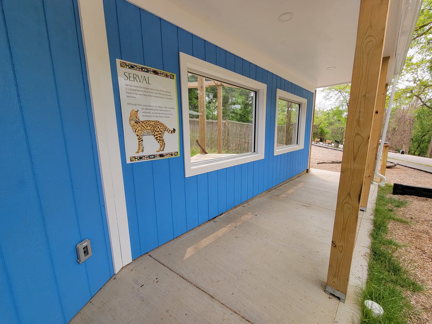 Oglebay Good Zoo - Serval