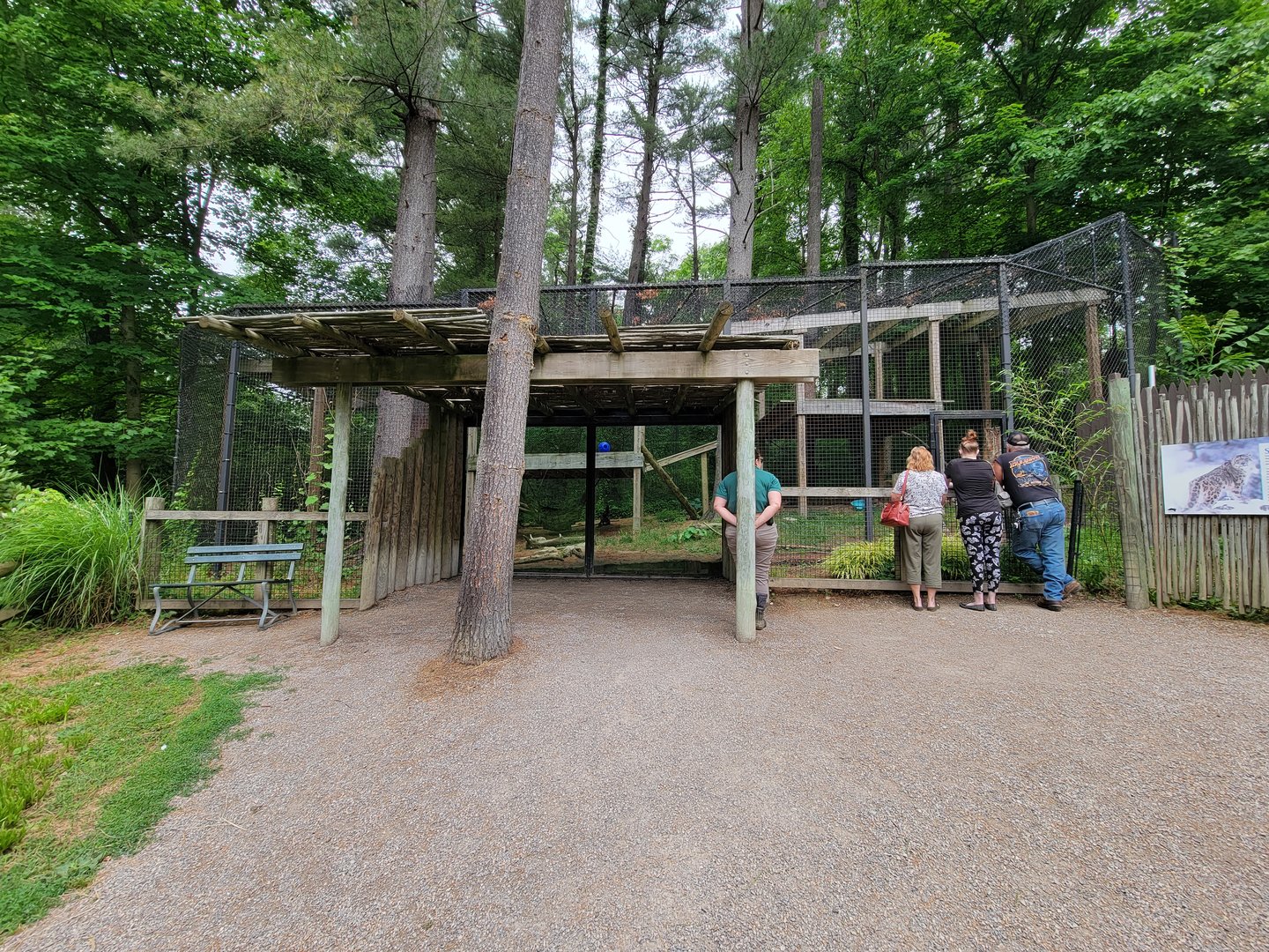 Oglebay Good Zoo - Snow leopard