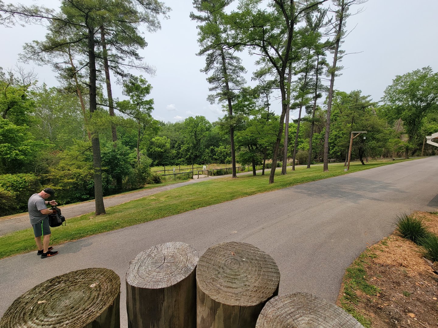 Oglebay Good Zoo - View of path, zebra yard from raised platform