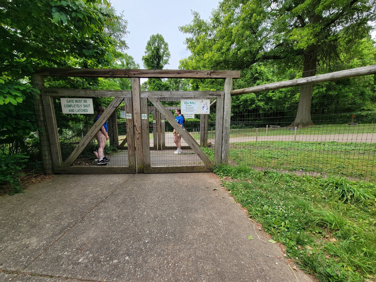 Oglebay Good Zoo - Walkabout, red kangaroo and Bennett's wallaby