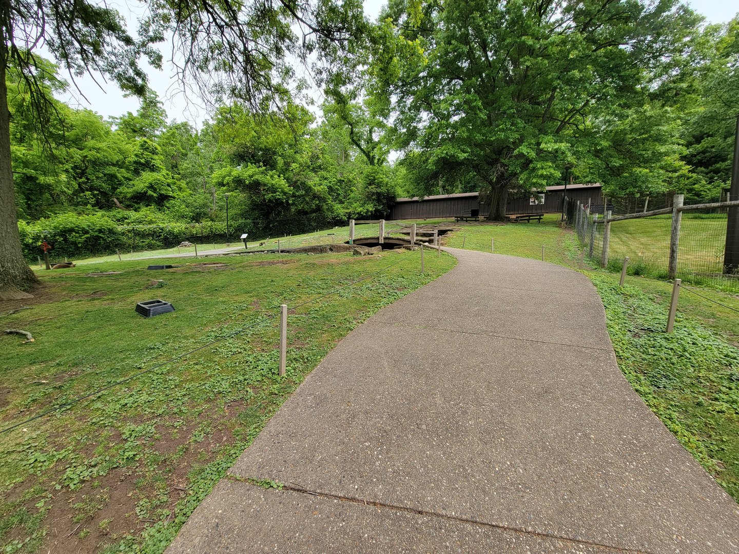 Oglebay Good Zoo - Walkabout, red kangaroo and Bennett's wallaby