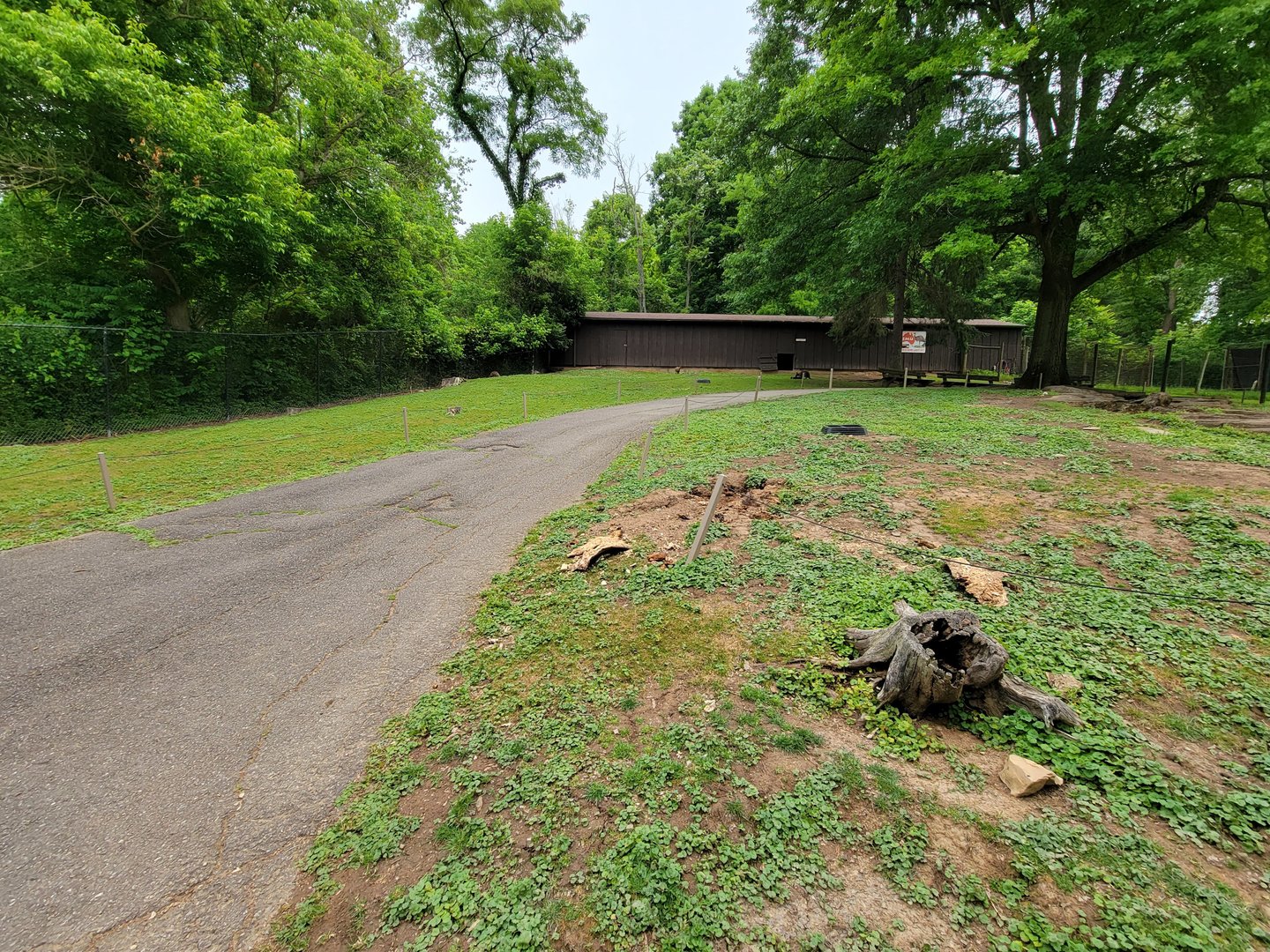 Oglebay Good Zoo - Walkabout, red kangaroo and Bennett's wallaby