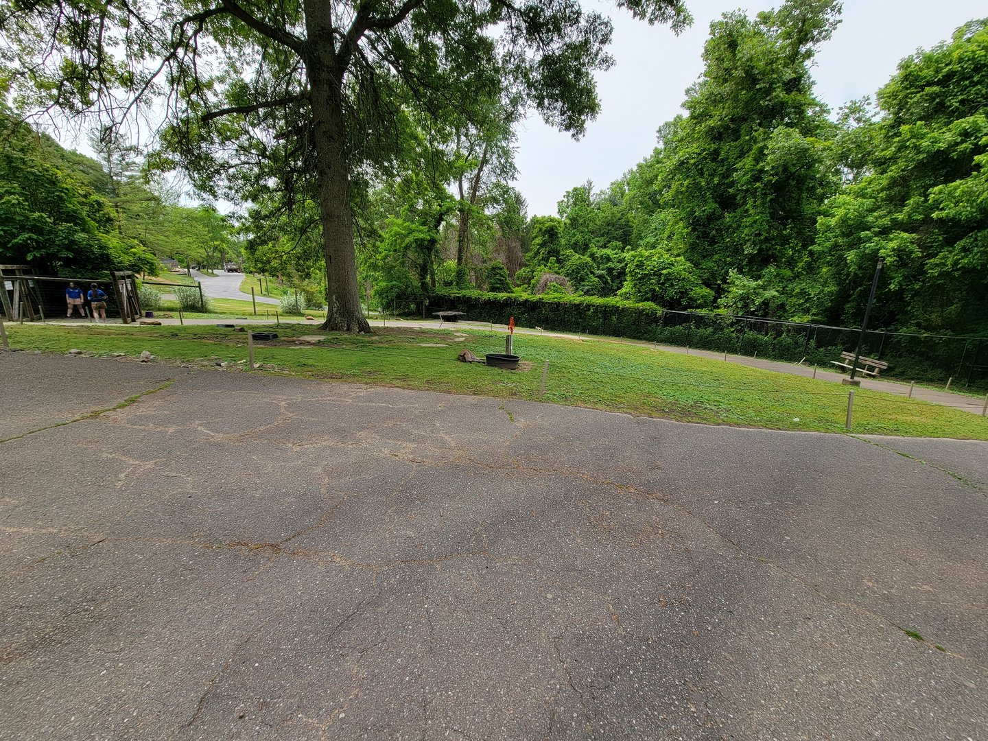 Oglebay Good Zoo - Walkabout, red kangaroo and Bennett's wallaby