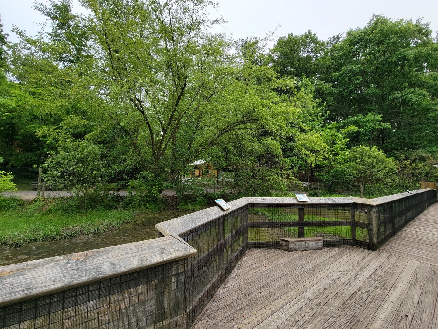 Oglebay Good Zoo - Wetlands, White-naped crane