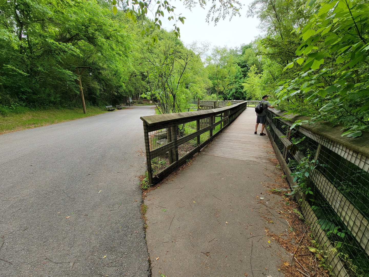 Oglebay Good Zoo - Wetlands