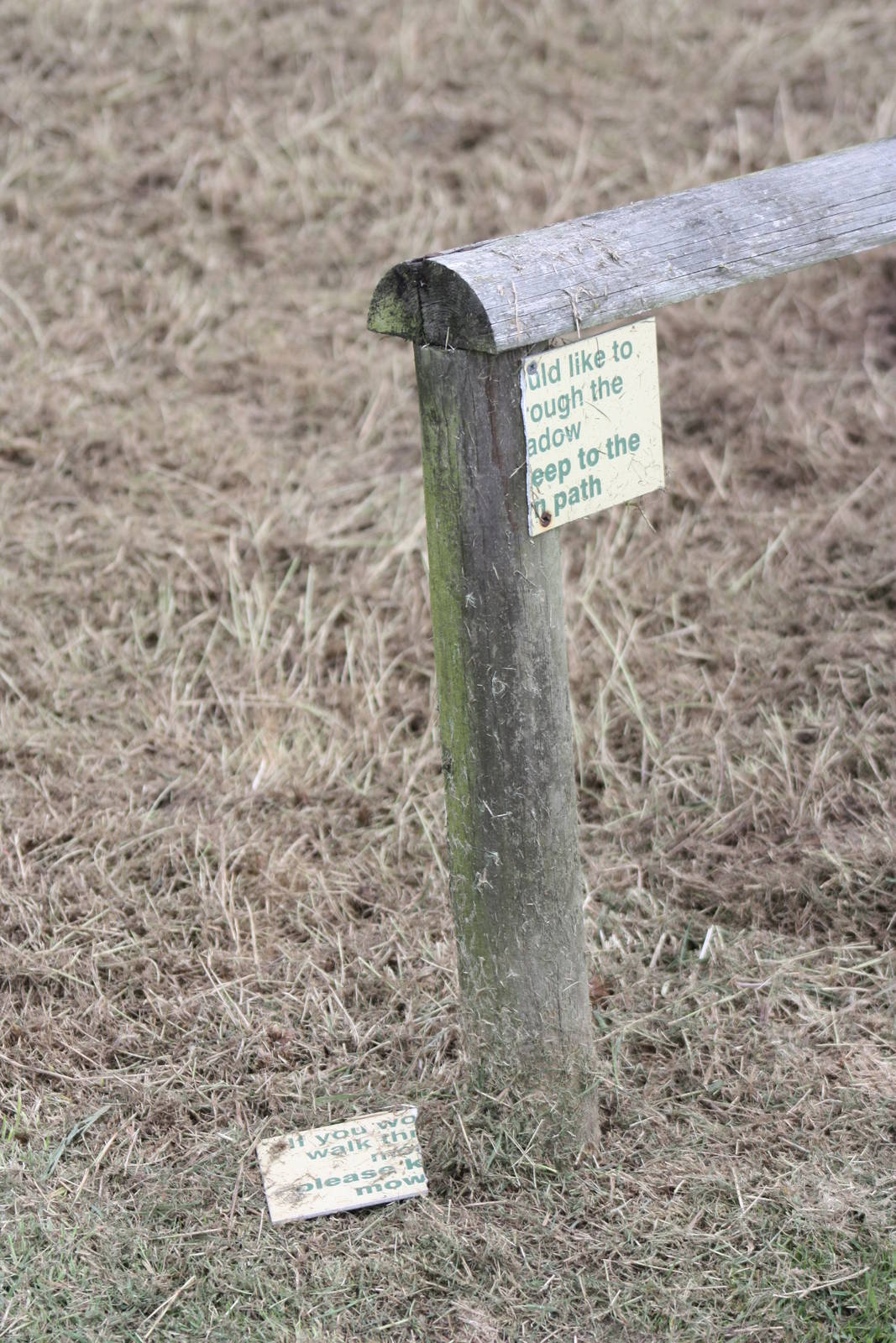 Oh dear, who would admit visitors? 25th September 2014