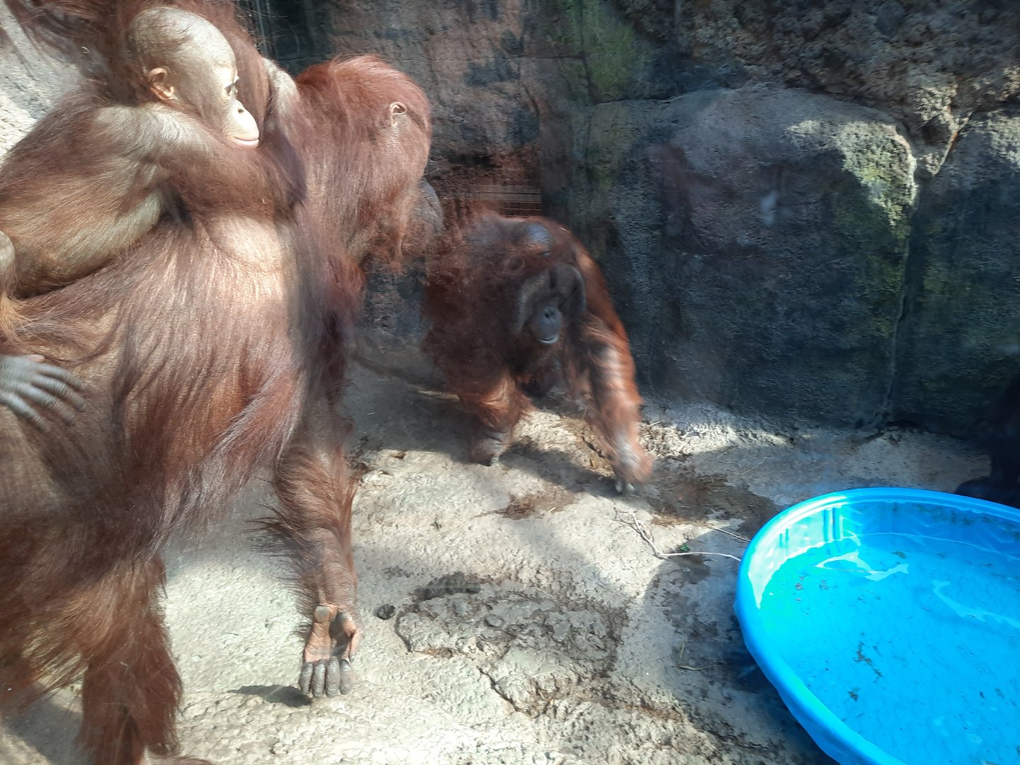 "Oh good, your father's here"