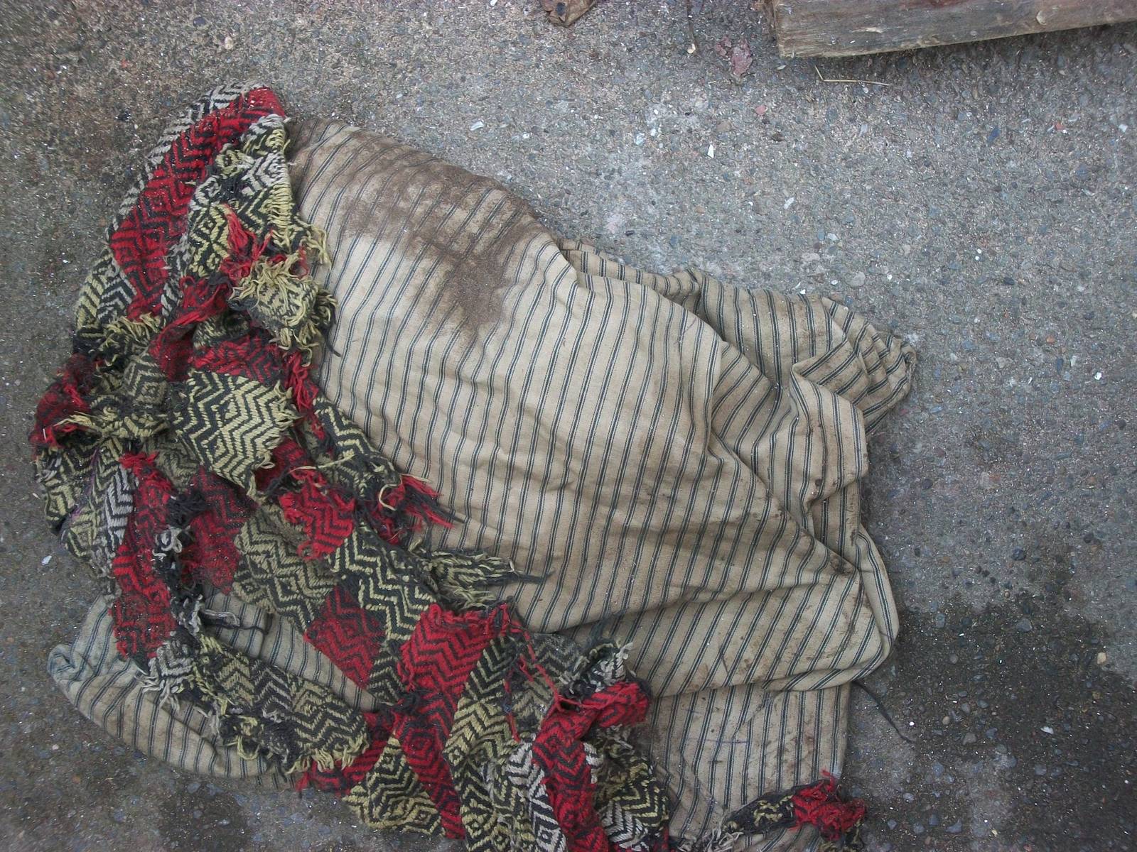 Oh no, the cushion too, 19th September 2014